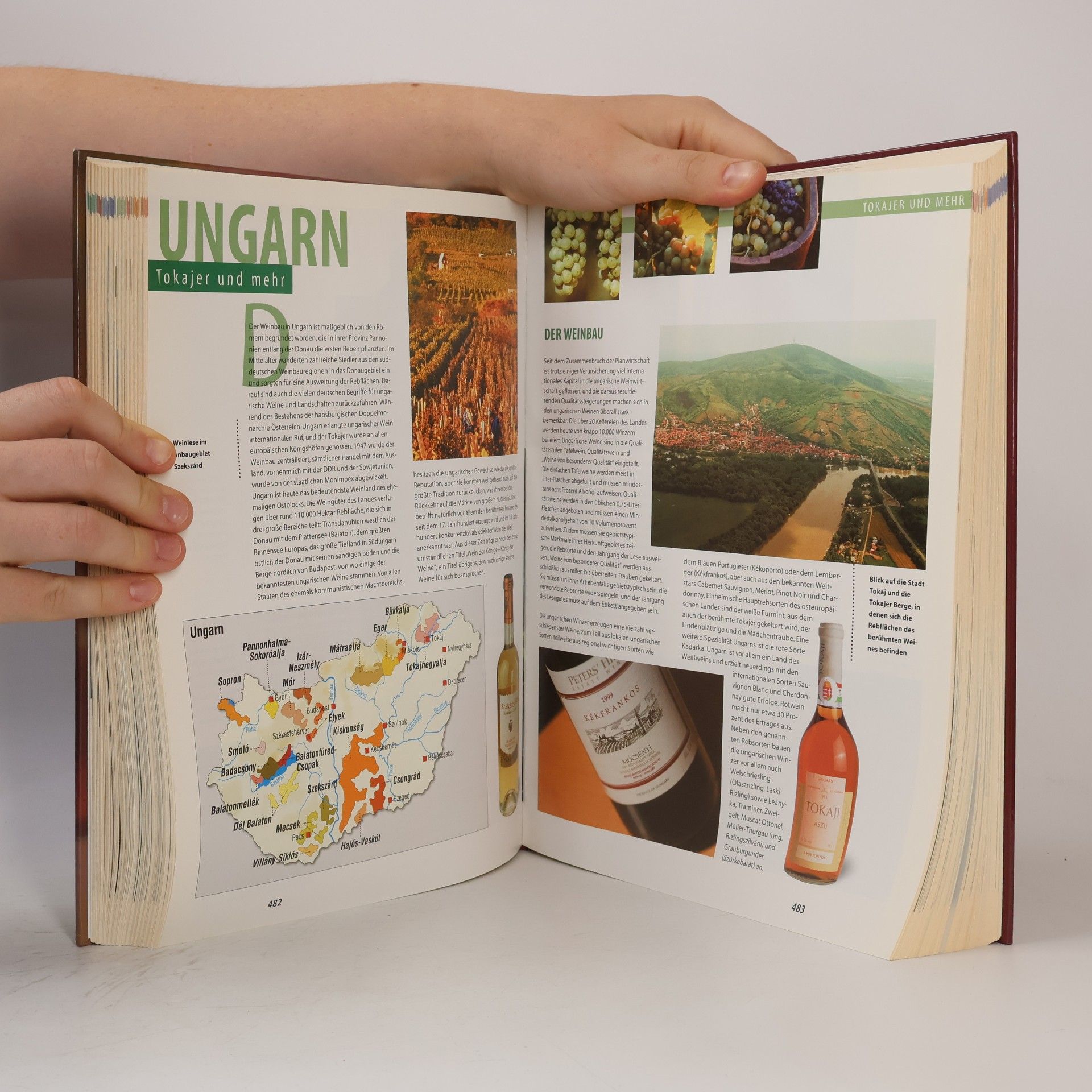 Autorenkollektiv Wein Enzyklopädie
