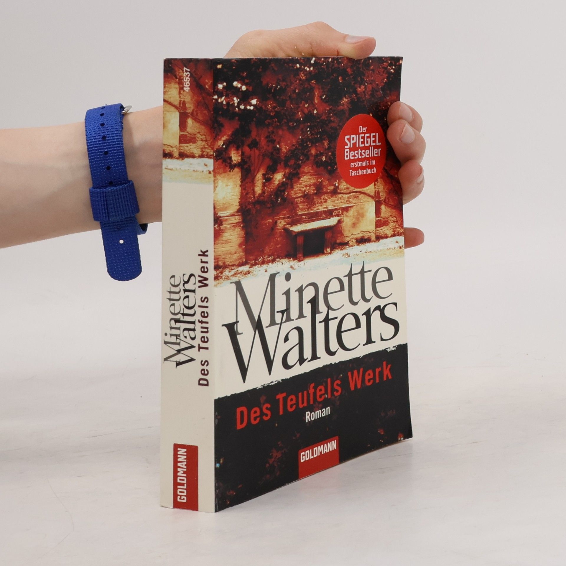 Minette Walters Des Teufels Werk