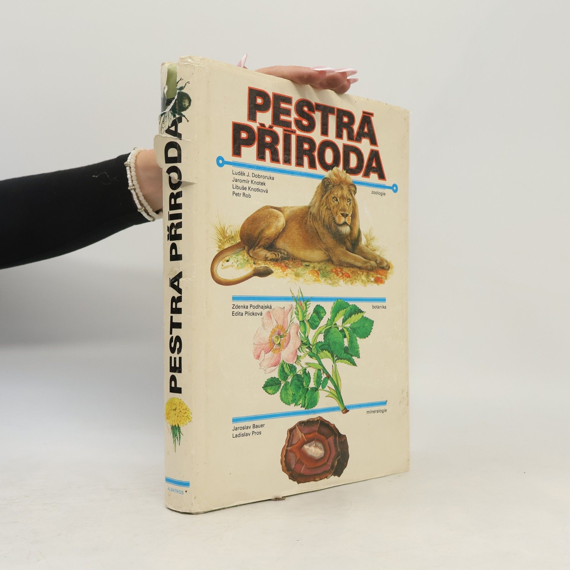 Autorenkollektiv Pestrá příroda