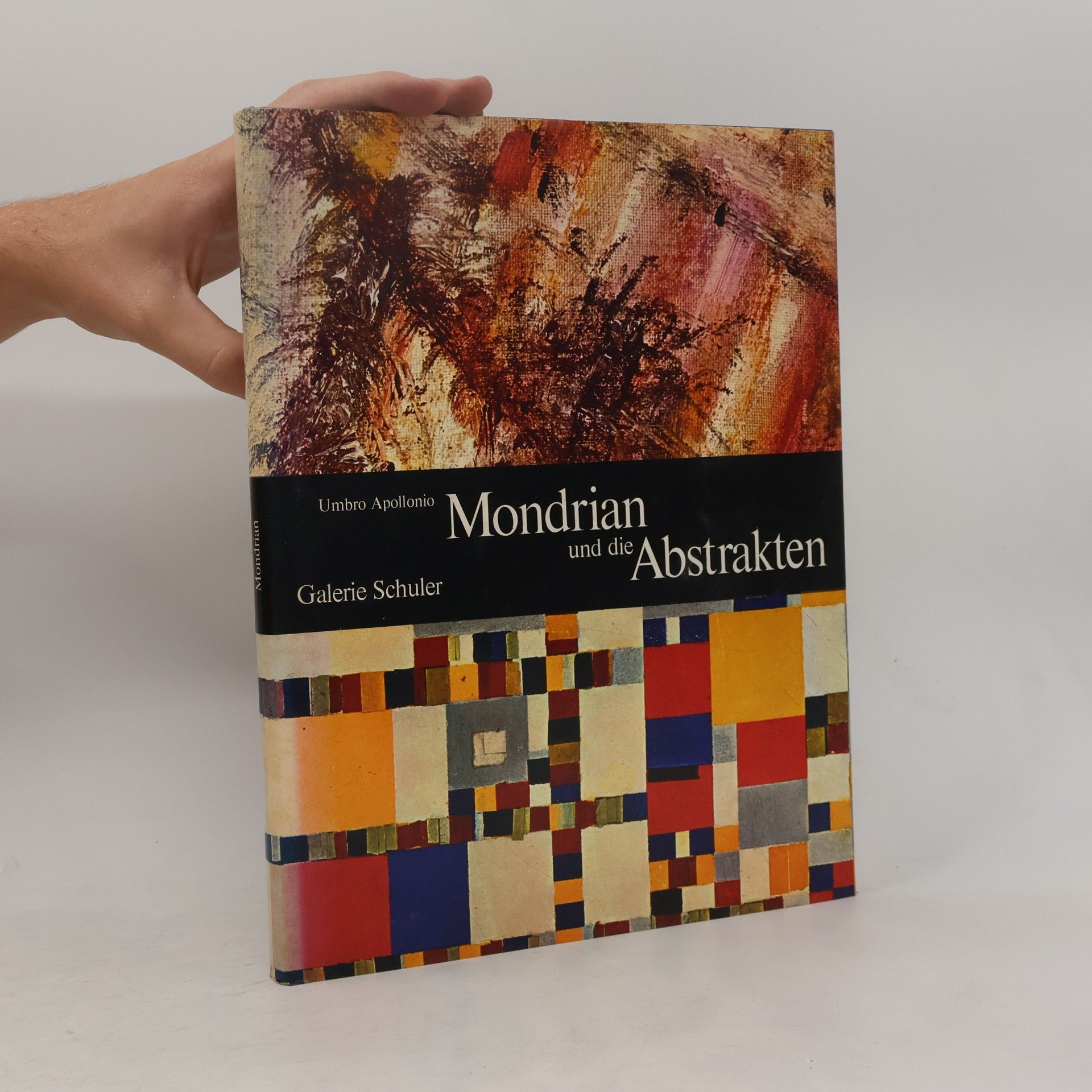 Umbro Appollonio Mondrian und die Abstrakten