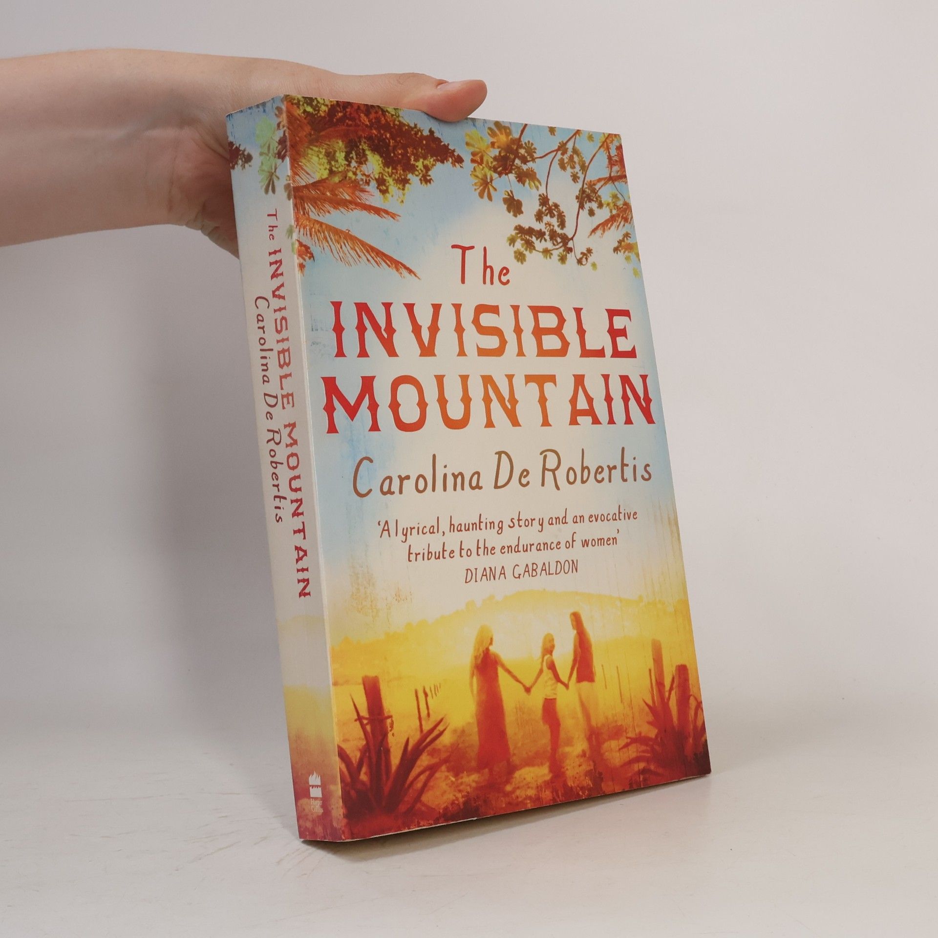 Carolina De Robertis The Invisible Mountain