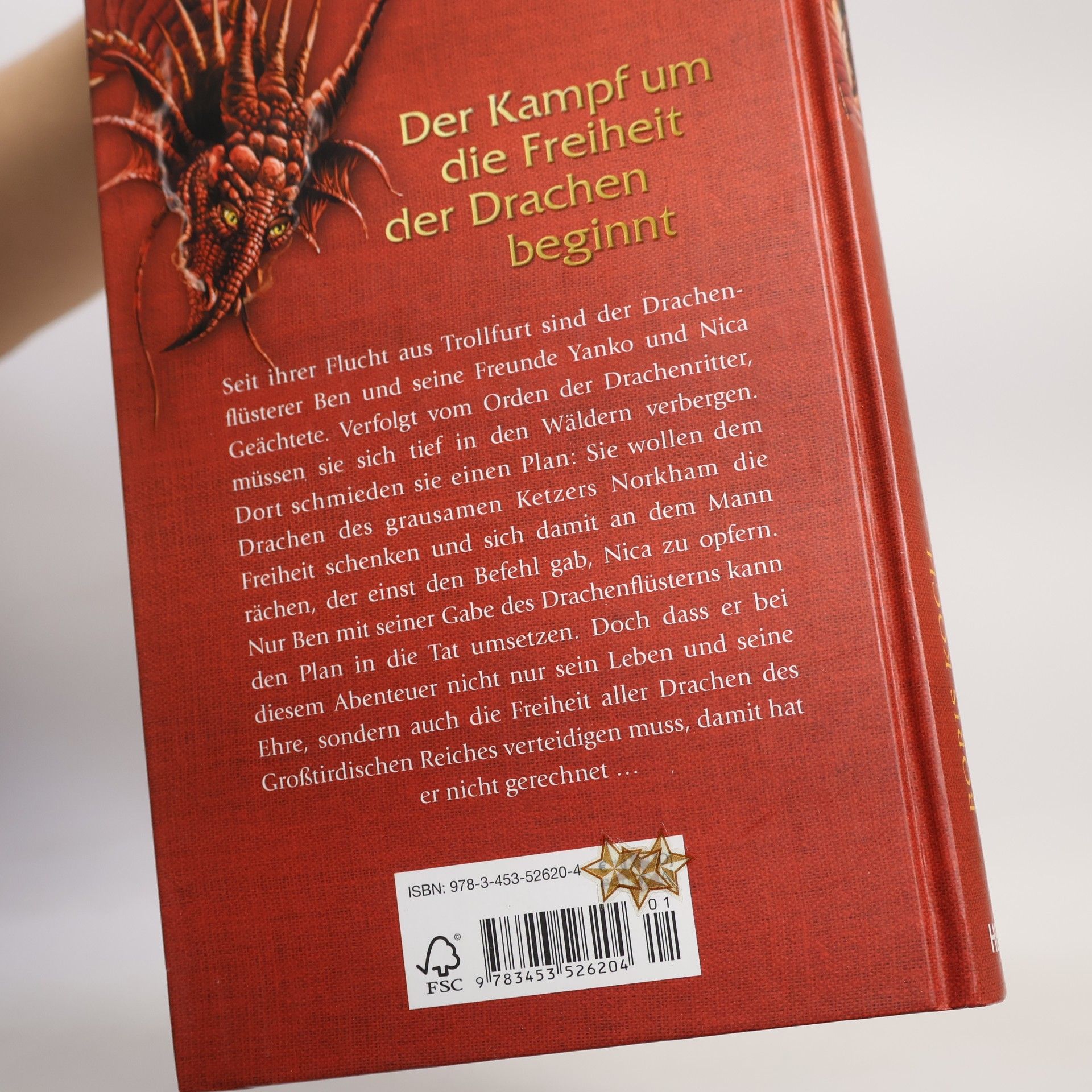 Boris Koch Der Drachenflüsterer - der Schwur der Geächteten