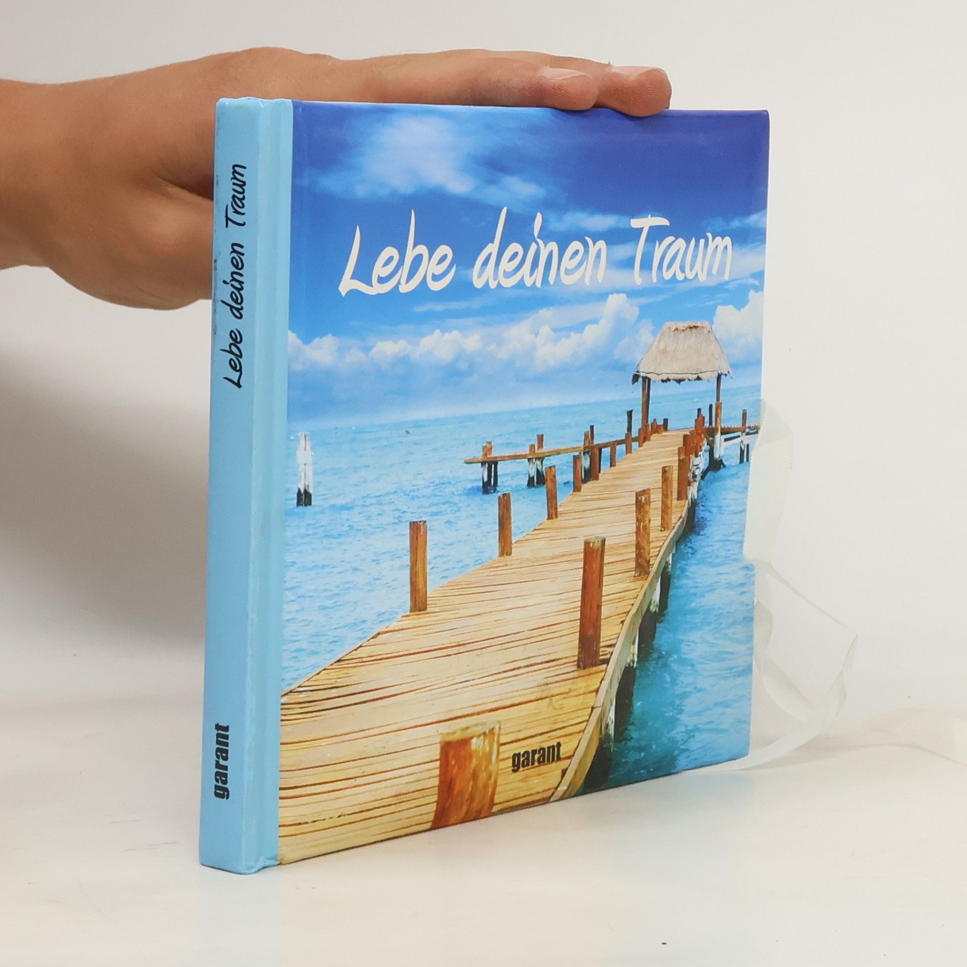 Kolektiv autorů Lebe deinen Traum