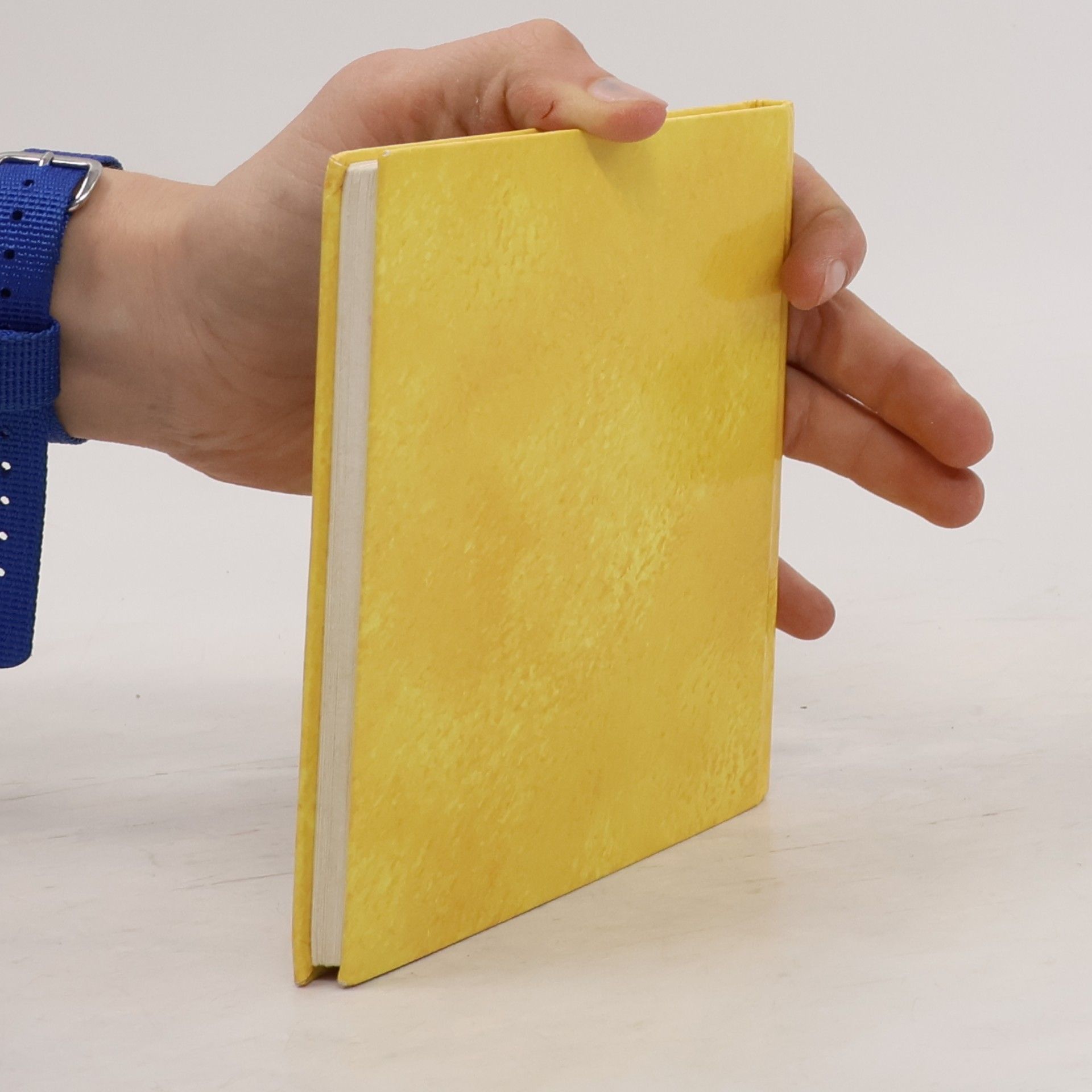 Wiebke Herich Das kleine Buch der Zuneigung