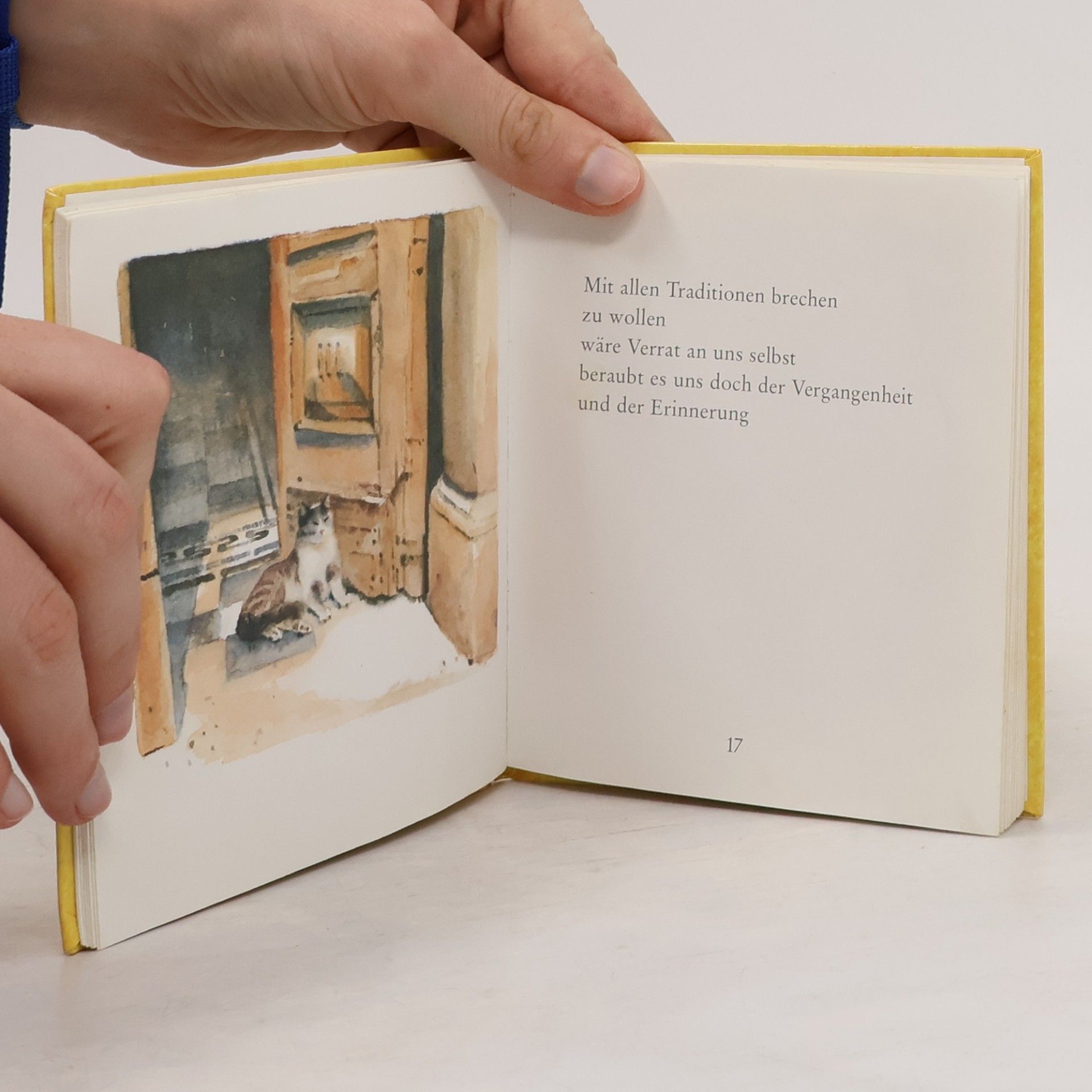 Wiebke Herich Das kleine Buch der Zuneigung