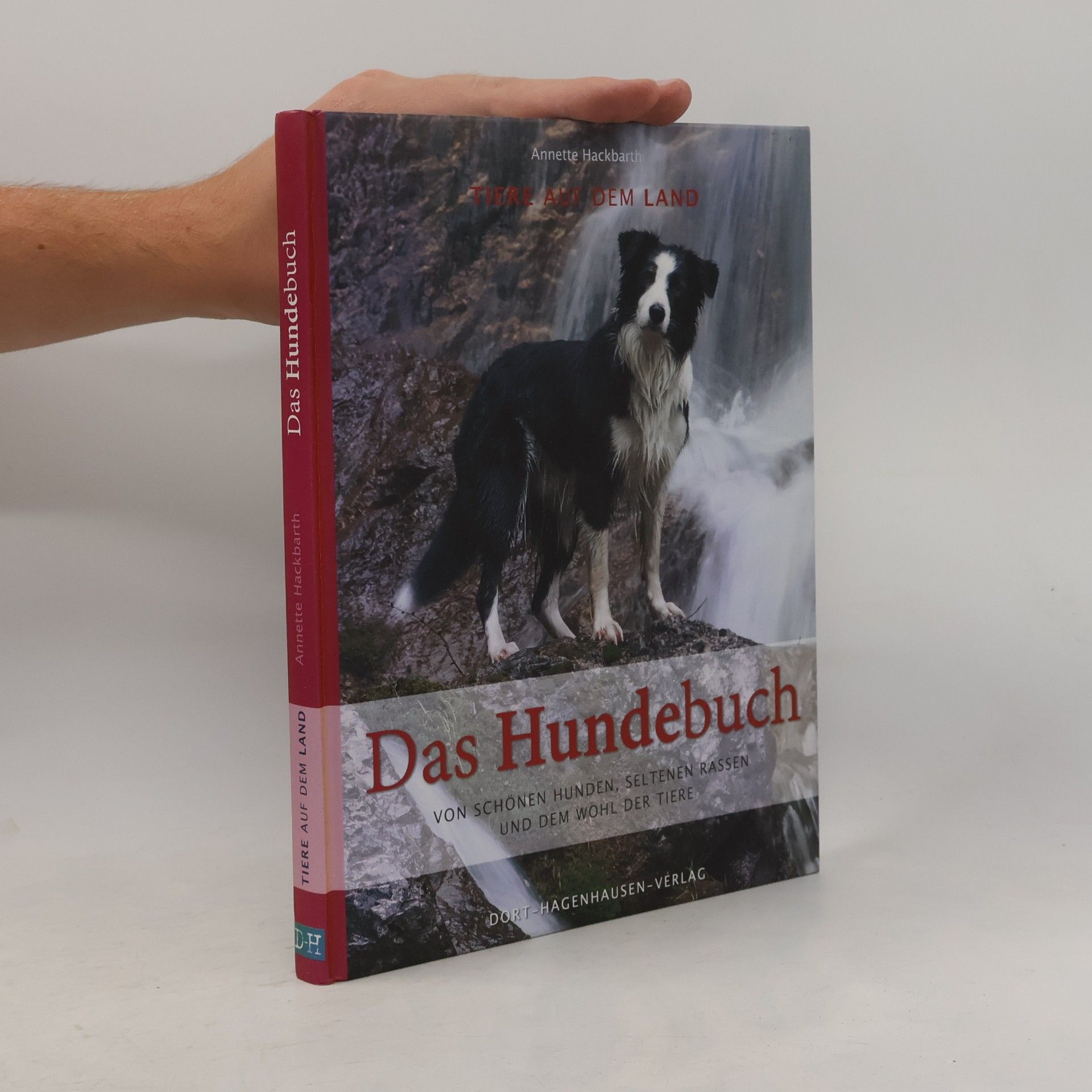 Annette Hackbarth Das Hundebuch