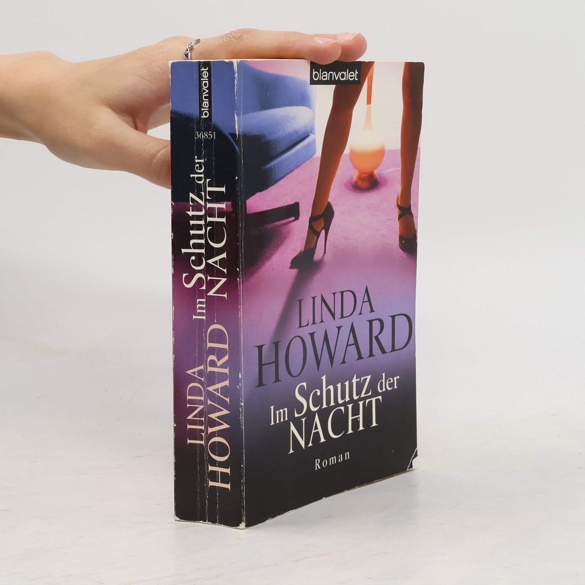 Linda Howard Im Schutz der Nacht