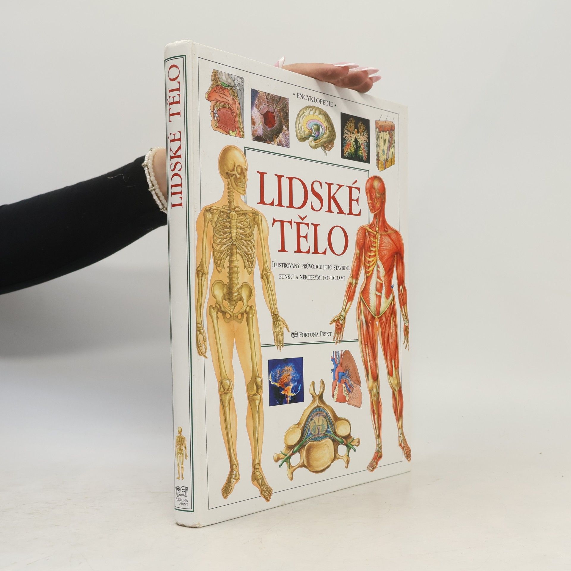 Autores varios Lidské tělo : ilustrovaný průvodce jeho stavbou, funkcí a některými poruchami