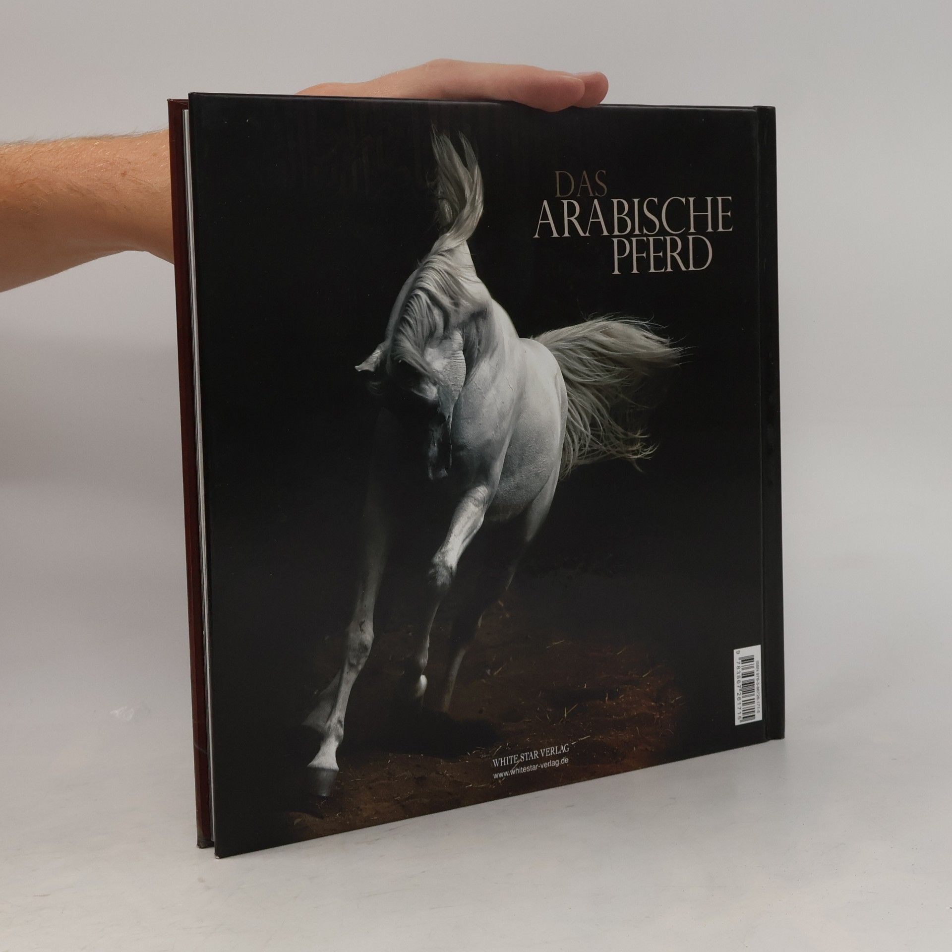 Nasr Marei Das arabische Pferd (Natur, Tiere)