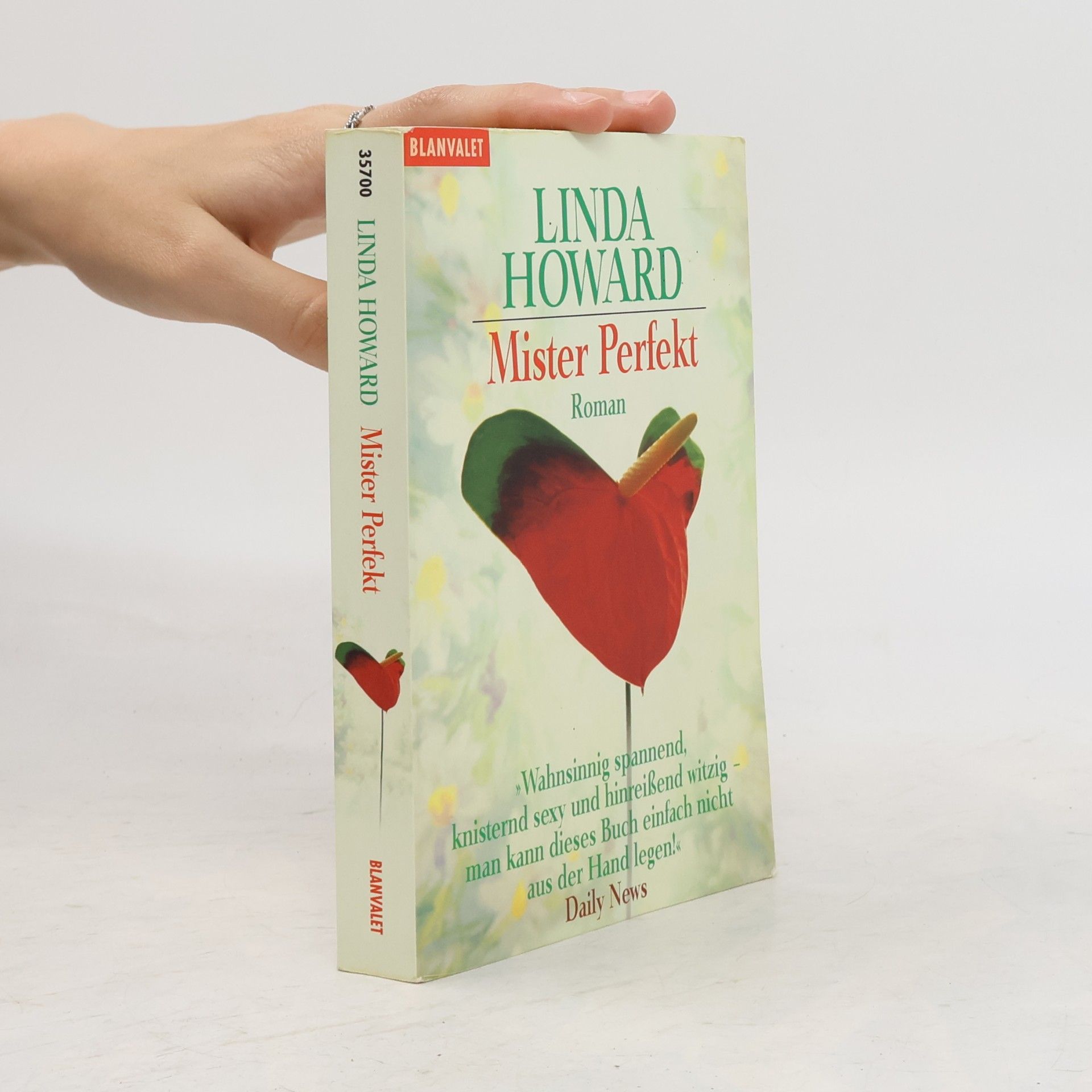 Linda Howard Mister Perfekt