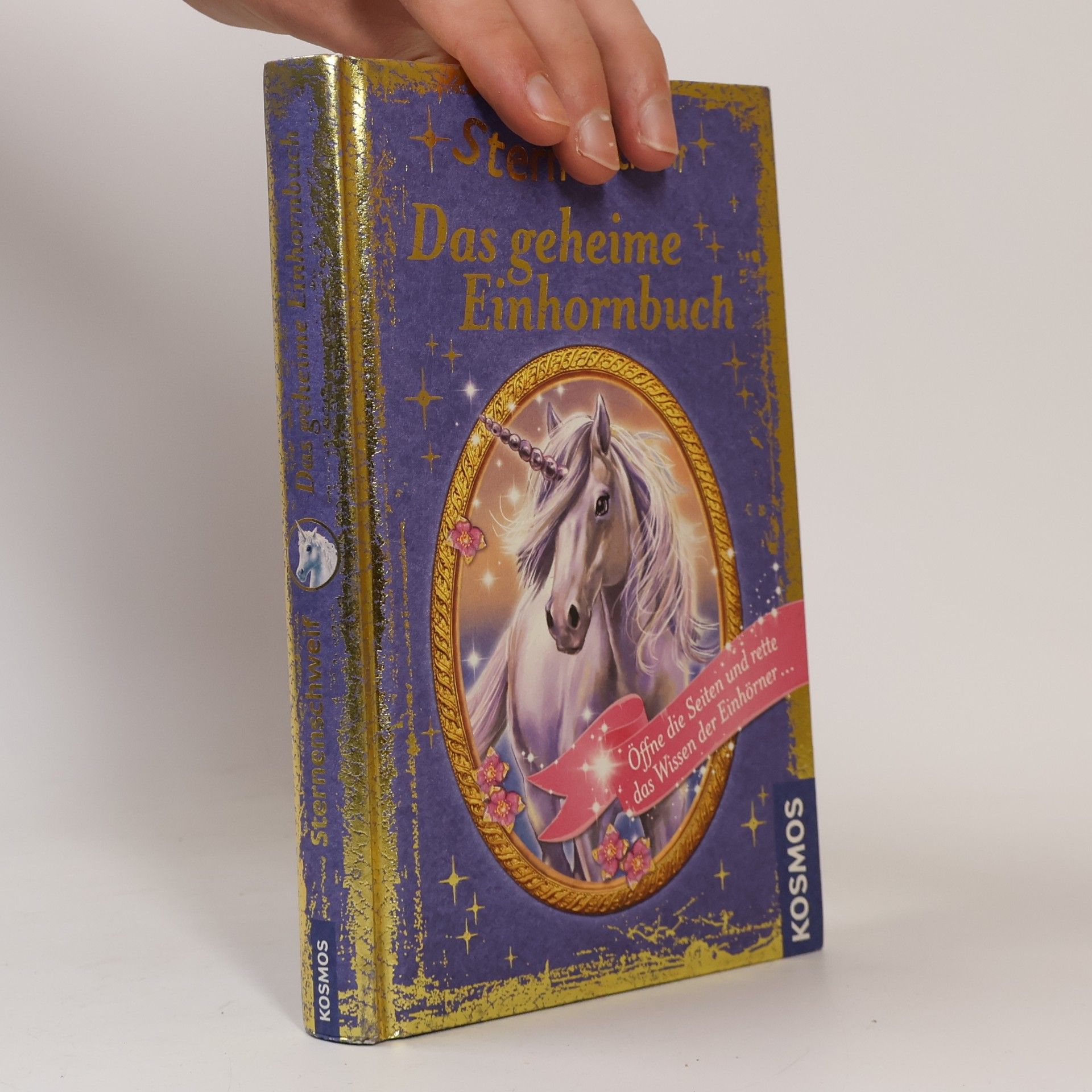 Anne Scheller Sternenschweif - das geheime Einhornbuch