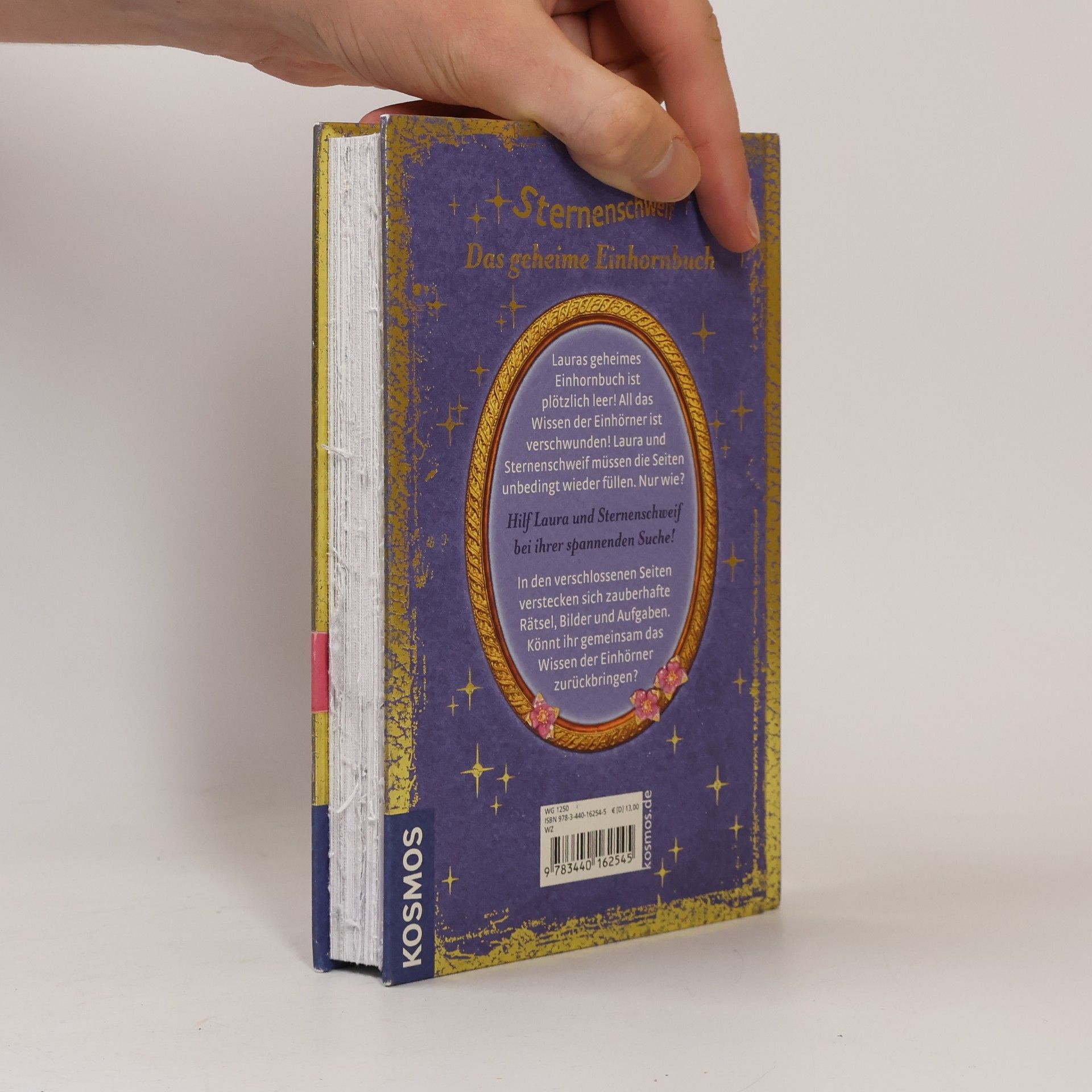 Anne Scheller Sternenschweif - das geheime Einhornbuch