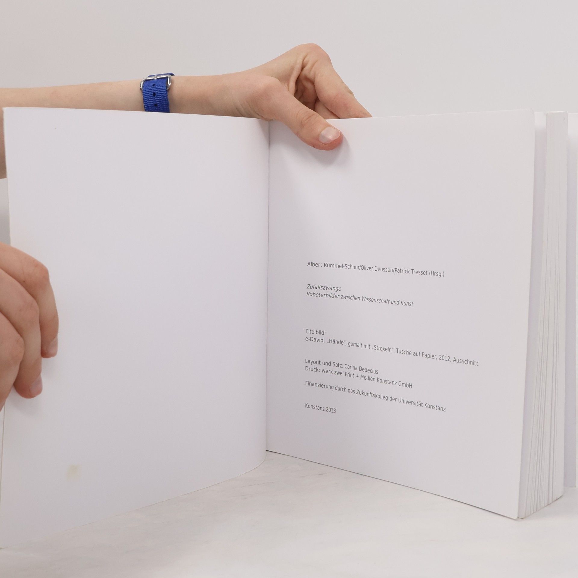 Autorenkollektiv Zufallszwänge. Roboterbilder zwischen Wissenschaft und Kunst