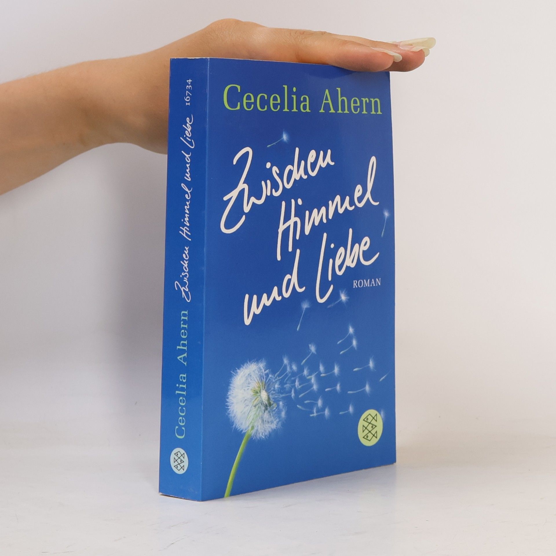 Cecelia Ahern Zwischen Himmel und Liebe
