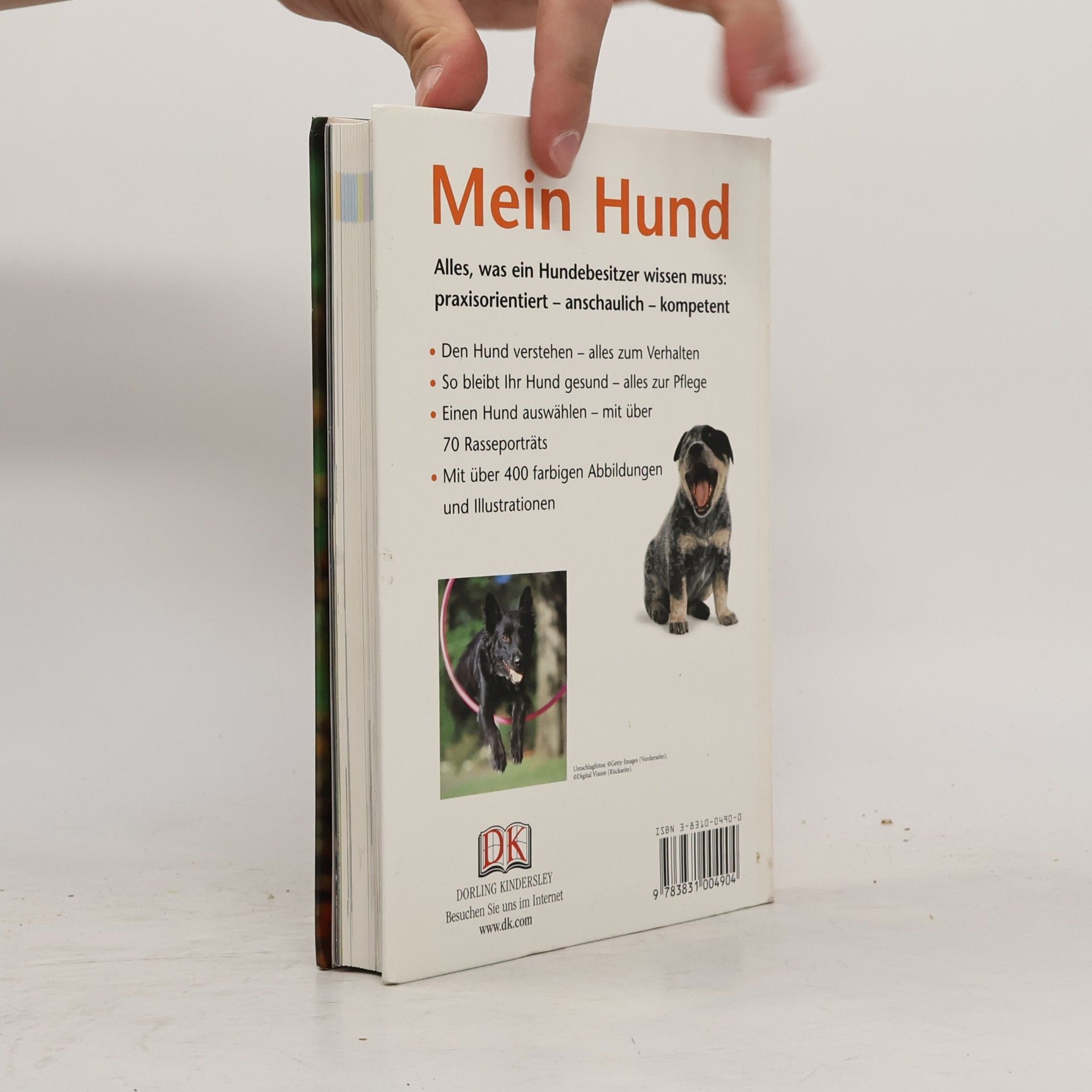 Bruce Folge Mein Hund