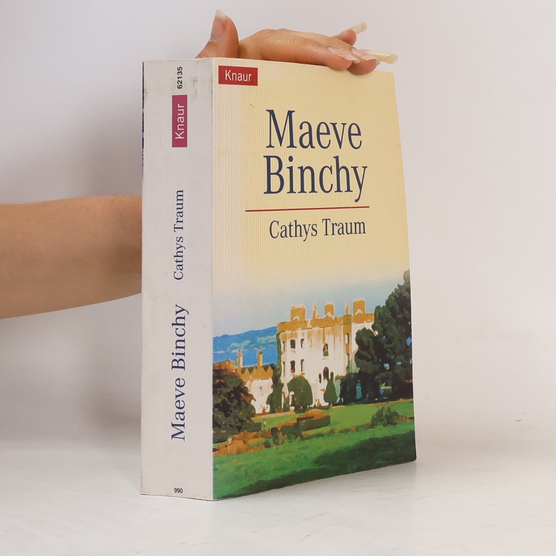 Maeve Binchy Cathys Traum