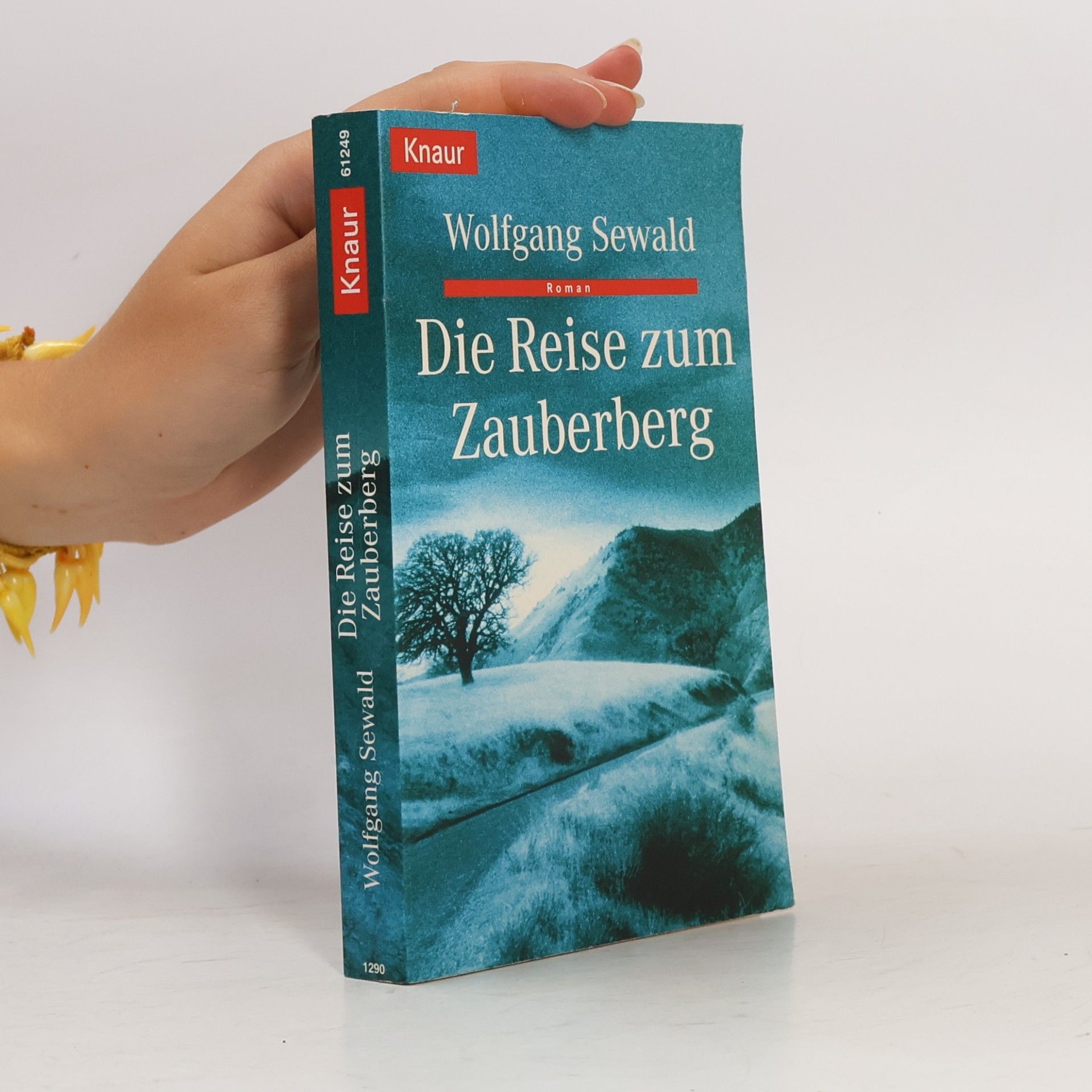 Wolfgang Sewald Die Reise zum Zauberberg