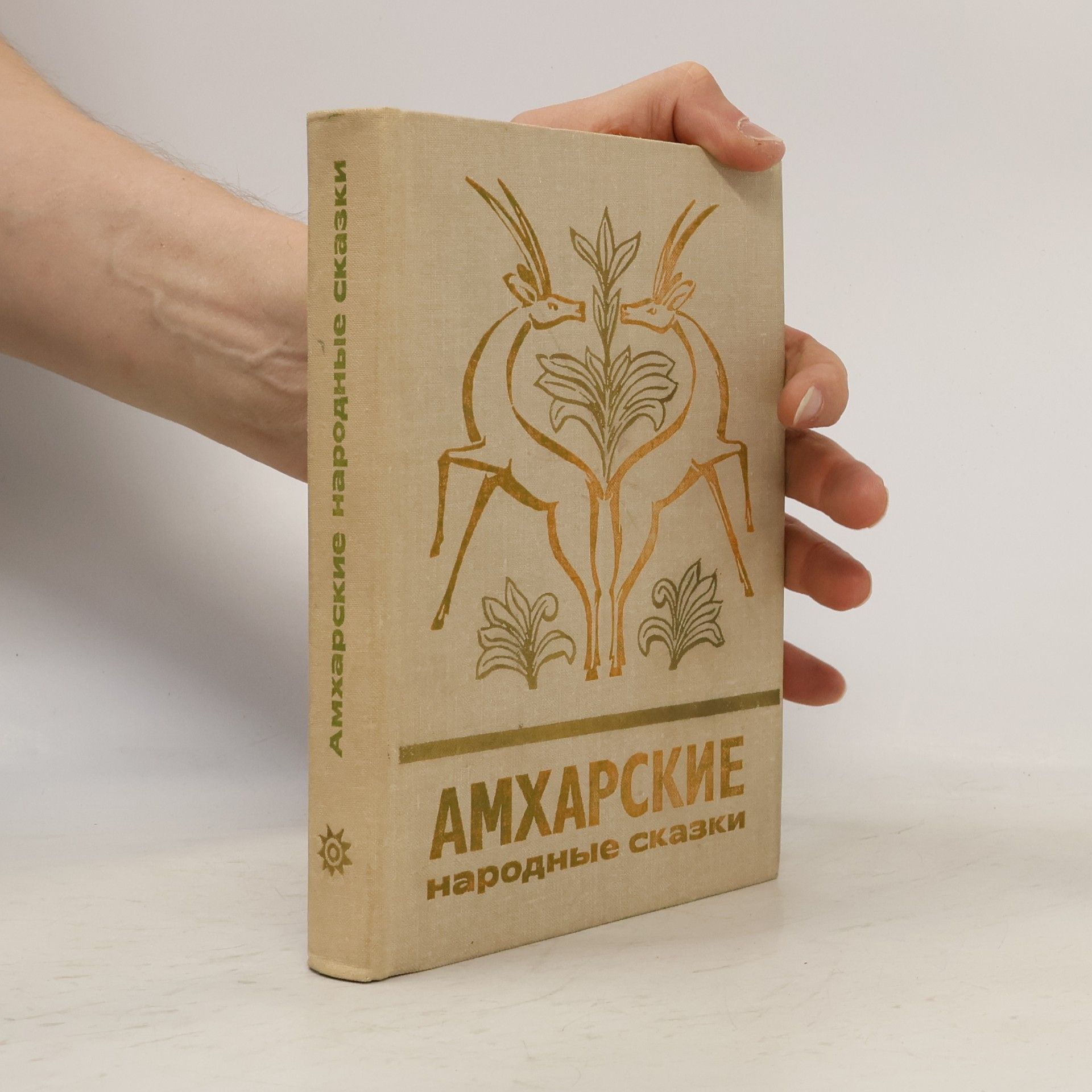 Autorenkollektiv Амхарские народные сказки