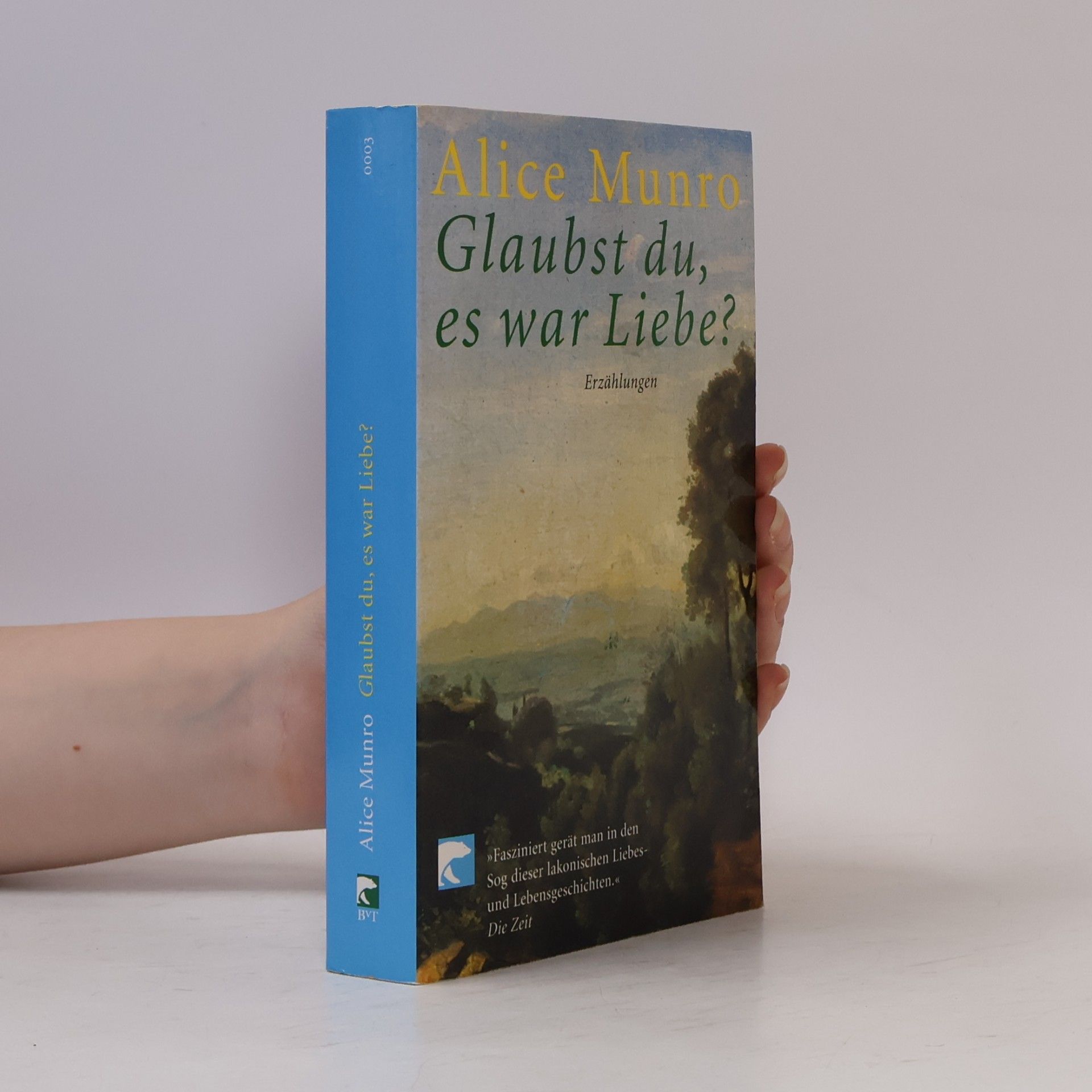Alice Munro Glaubst du, es war Liebe?