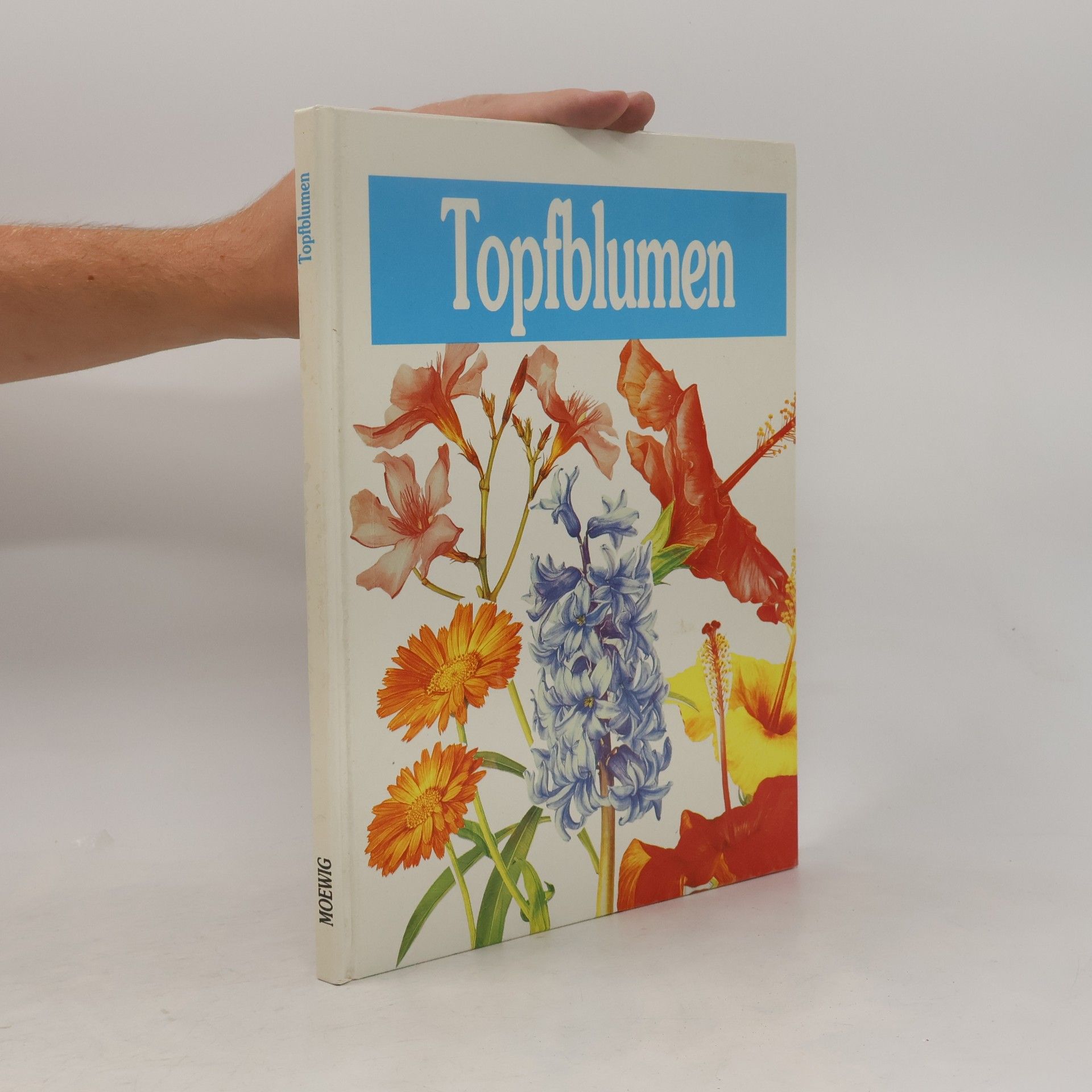 Doris Gottwald Topfblumen