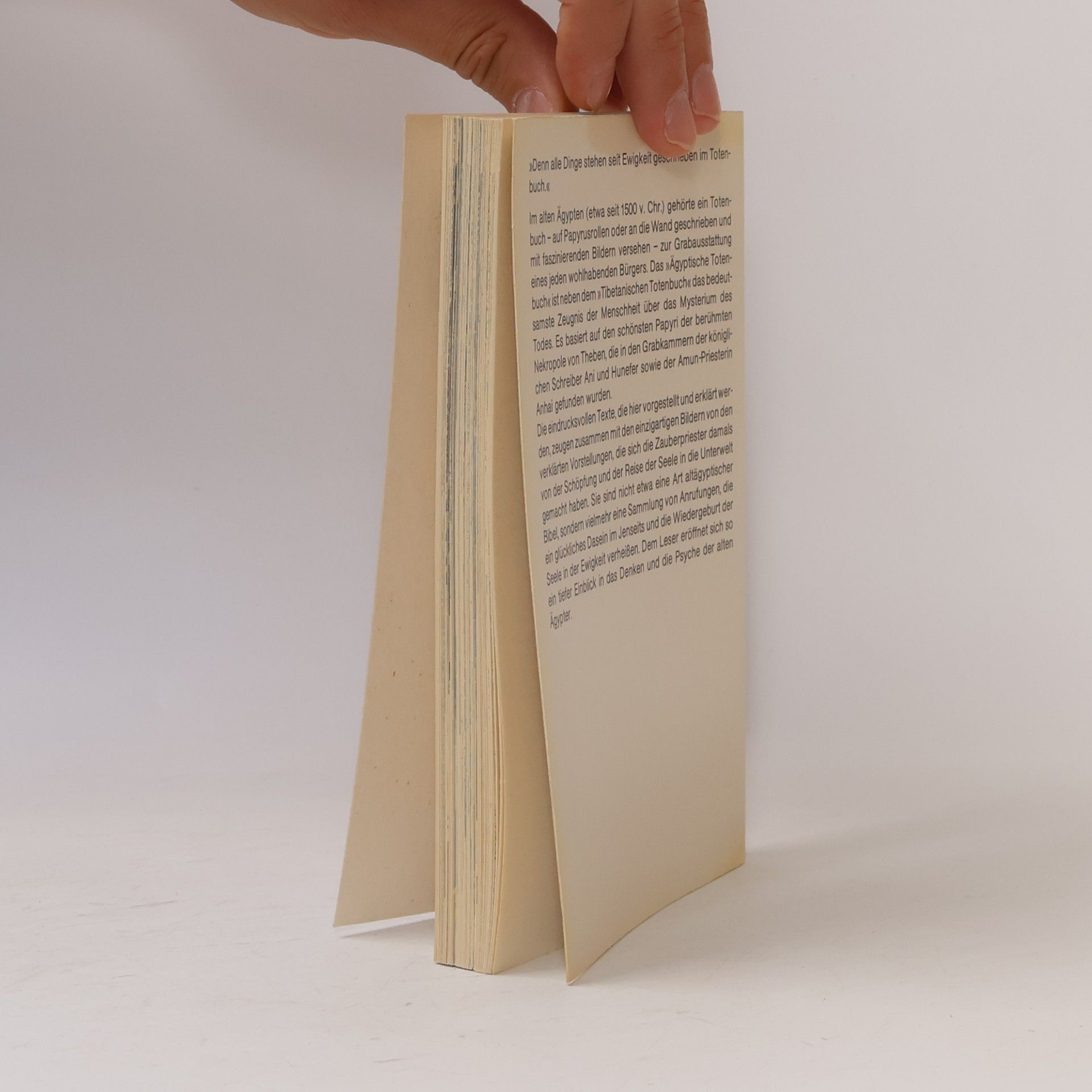 Albert Champdor Das Ägyptische Totenbuch