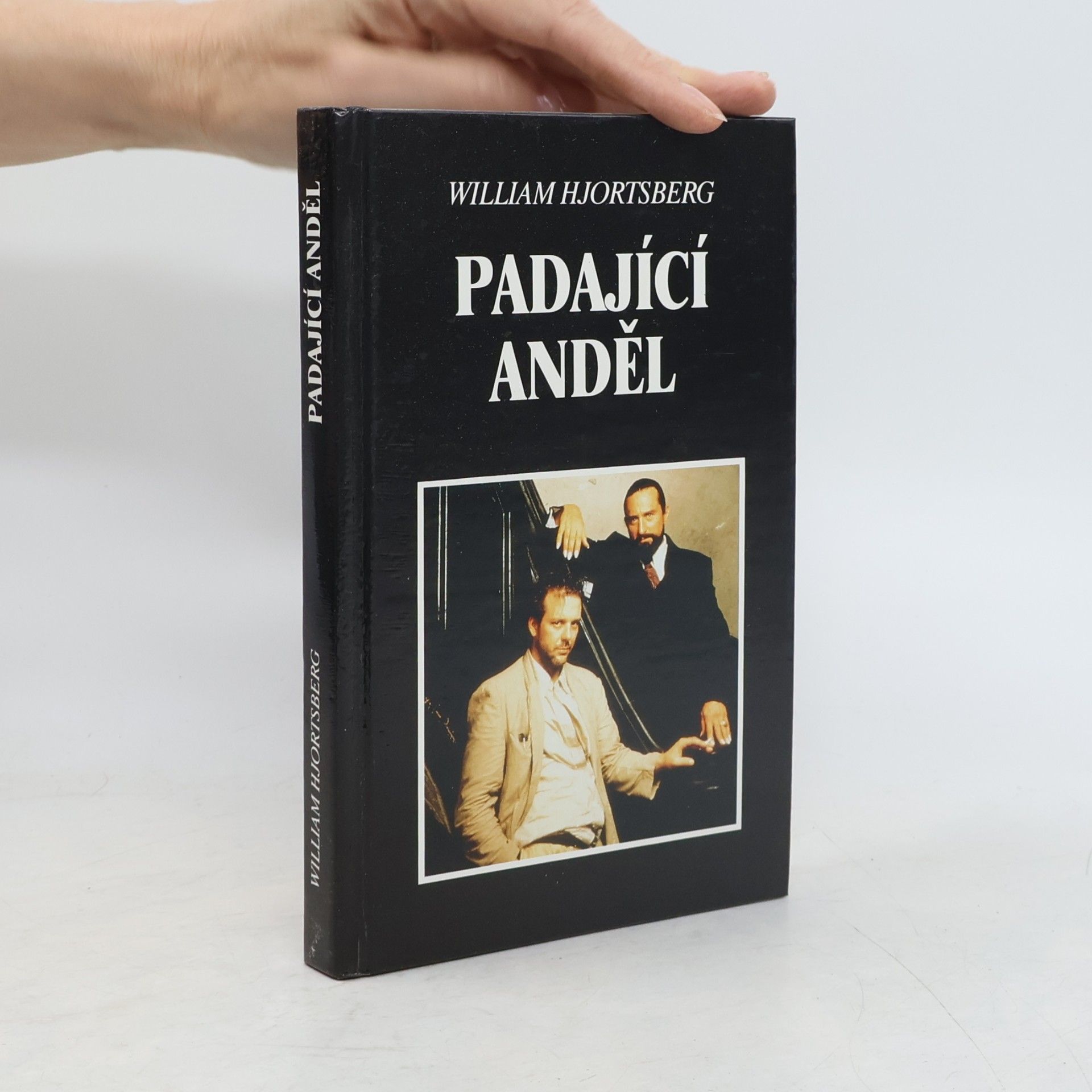 William Hjortsberg Padající anděl