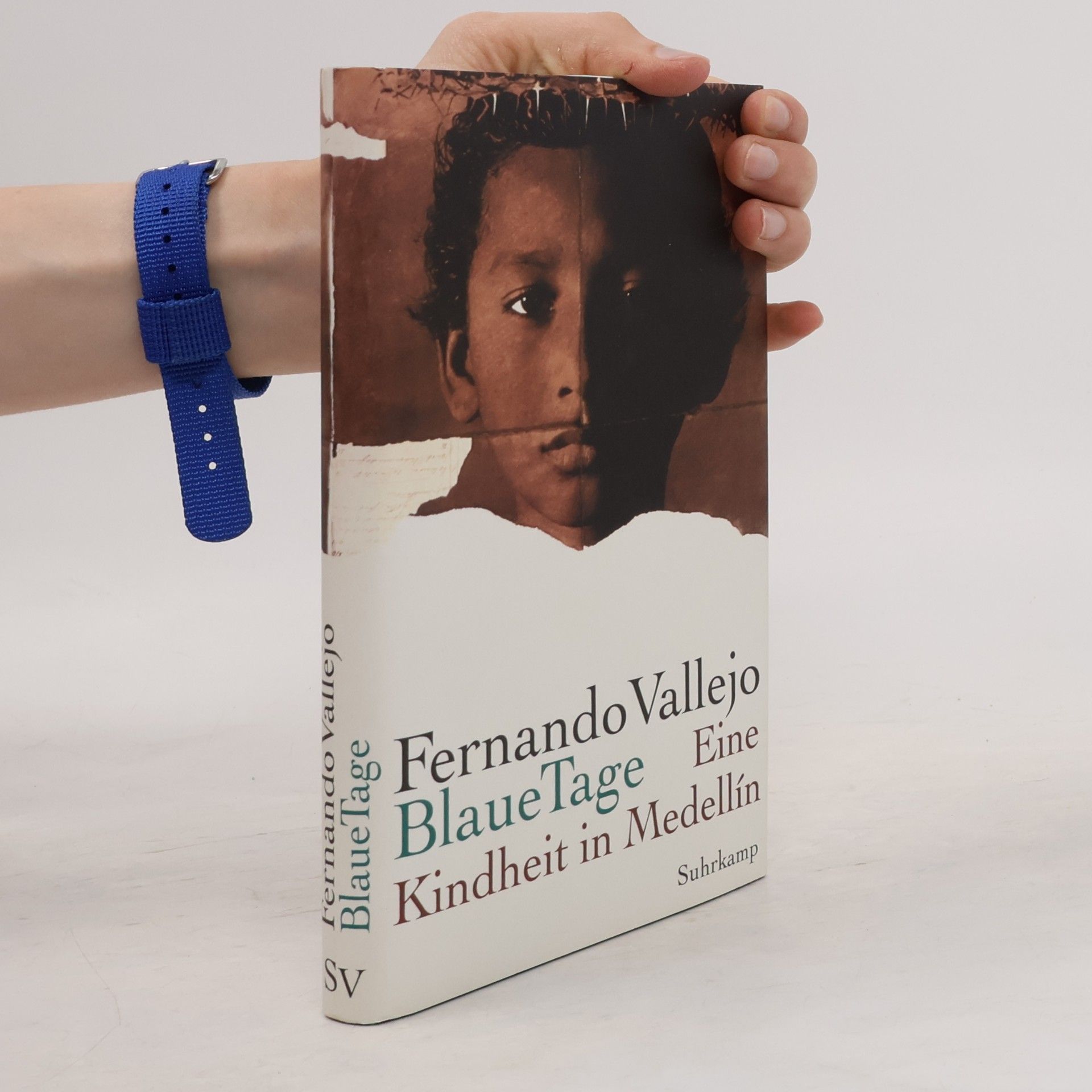 Fernando Vallejo Blaue Tage