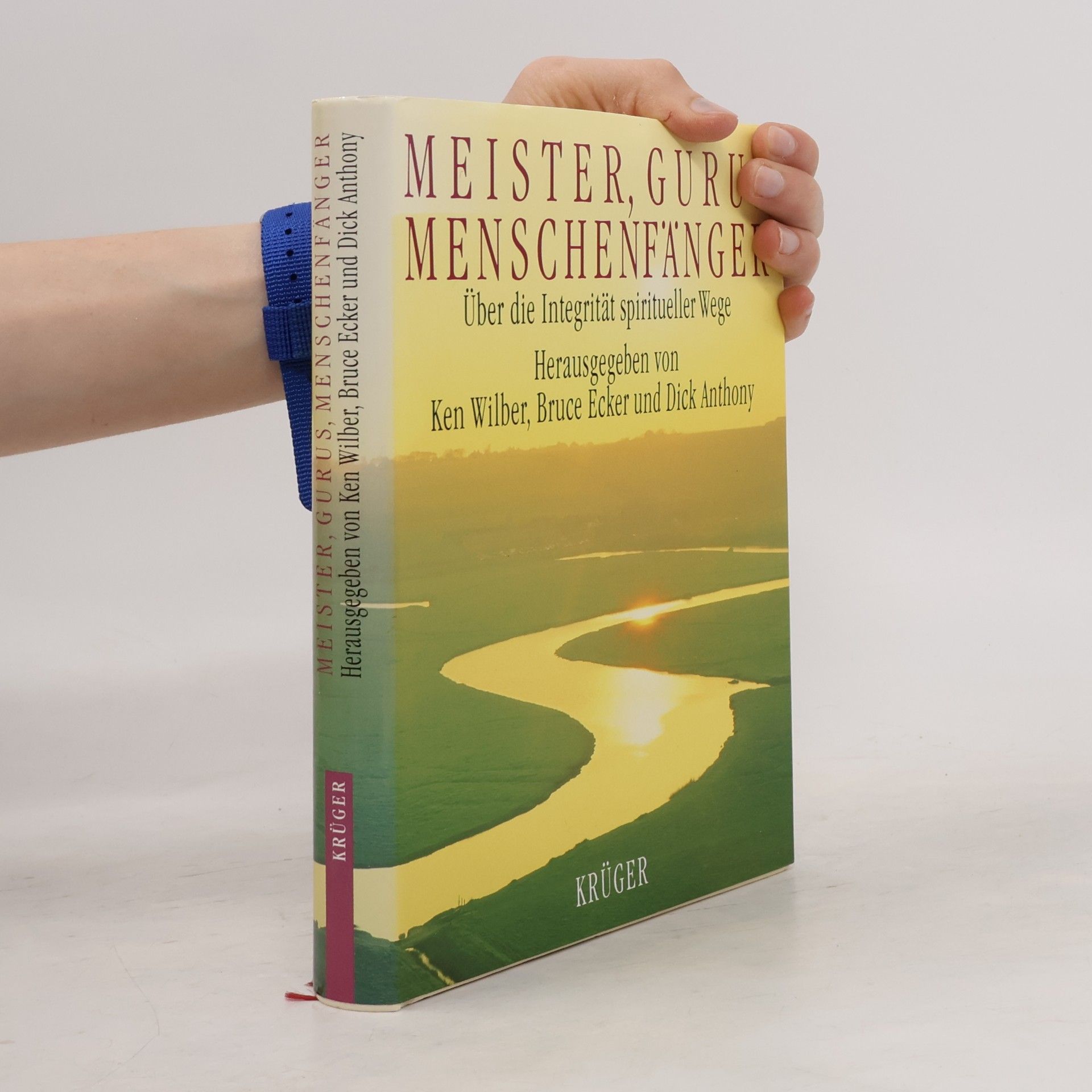 Ken Wilber Meister, Gurus, Menschenfänger