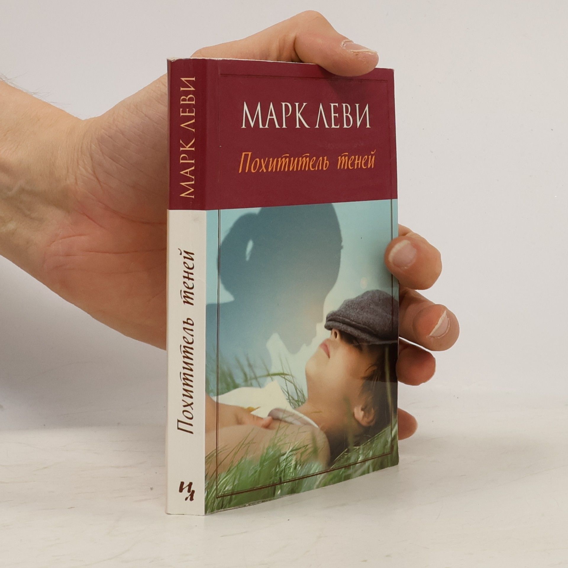 Марк Леви Похититель теней