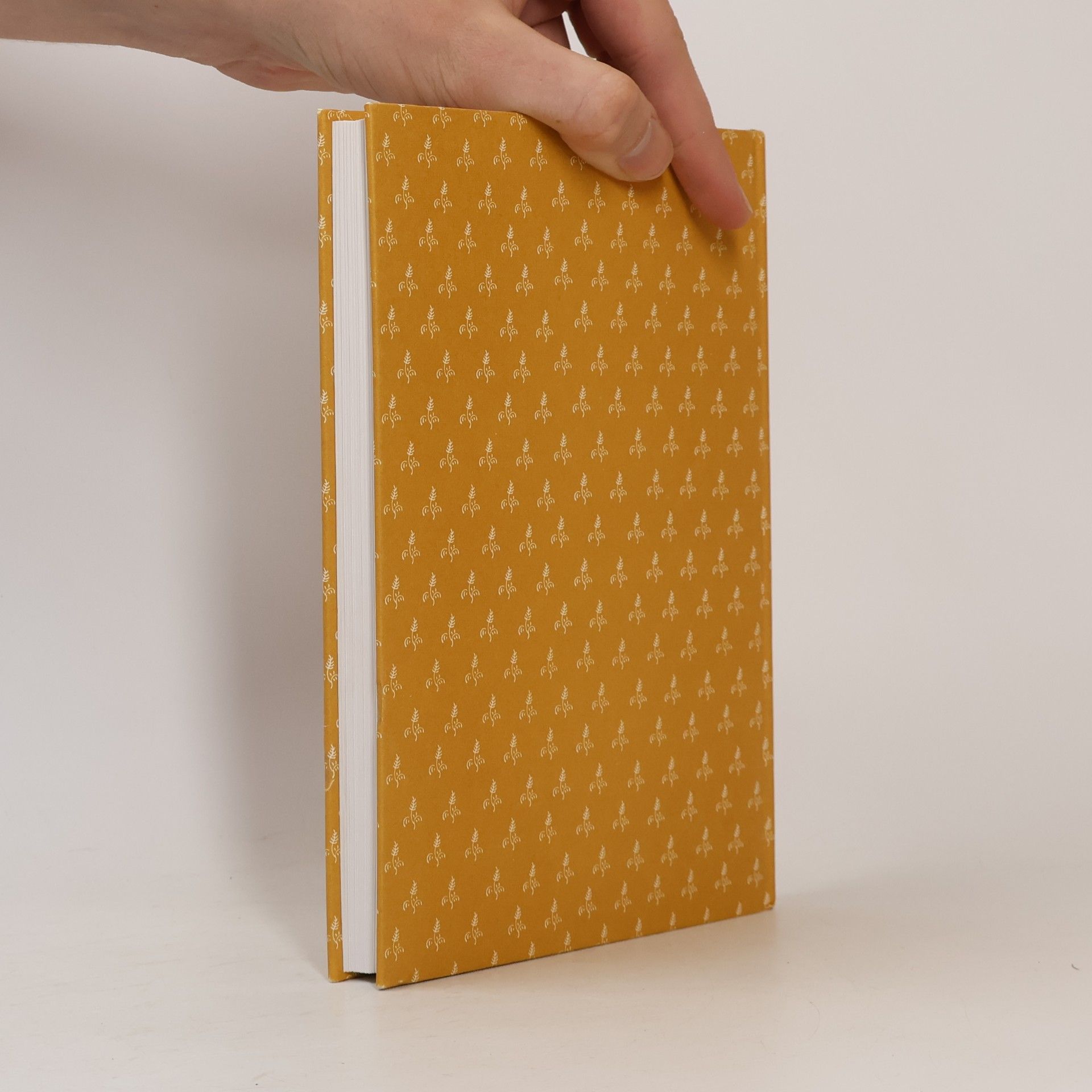 Elisabeth Schulte Huxel Das Kartoffel-Kochbuch