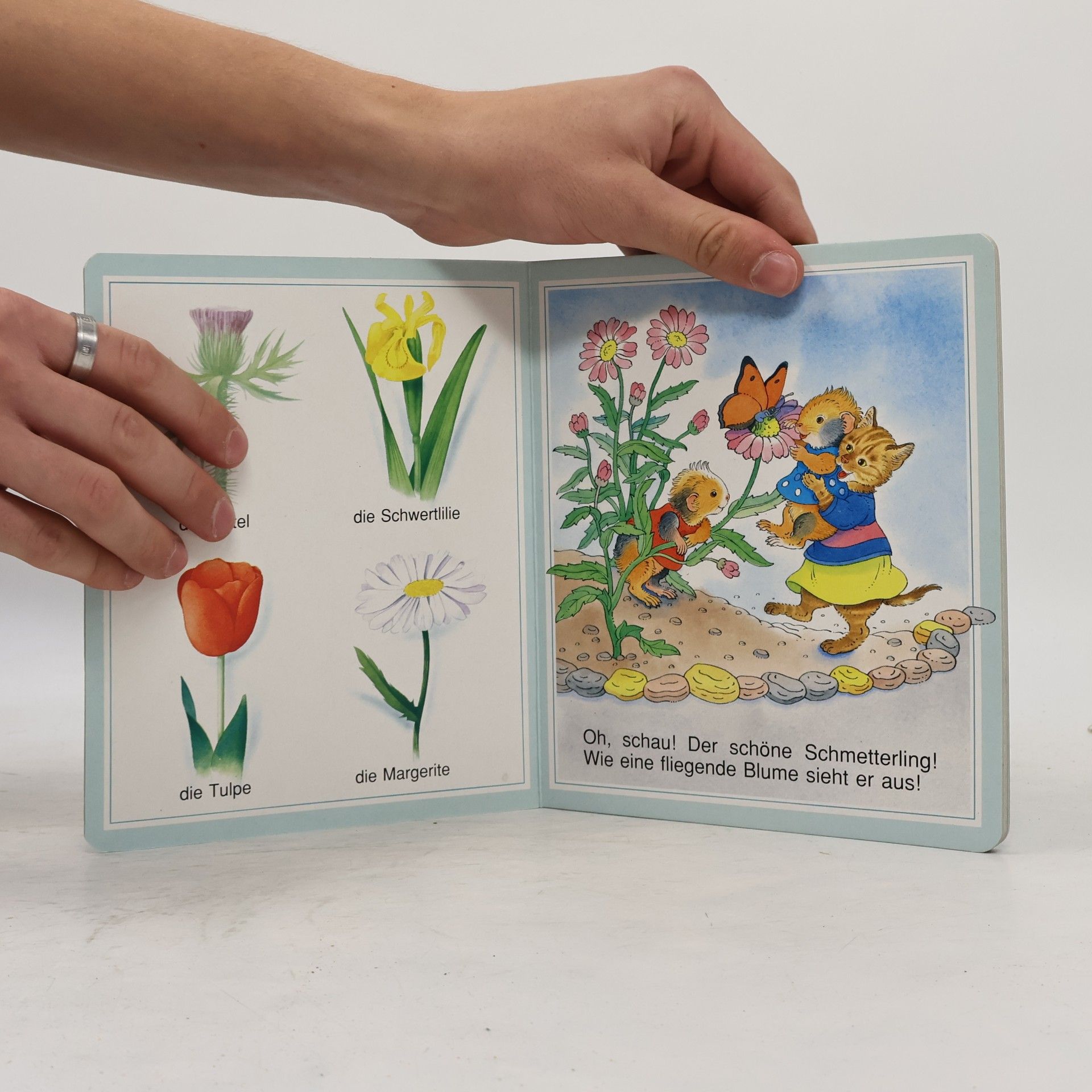 Violayne Hulné Dein kleines Wörterbuch, Blumen