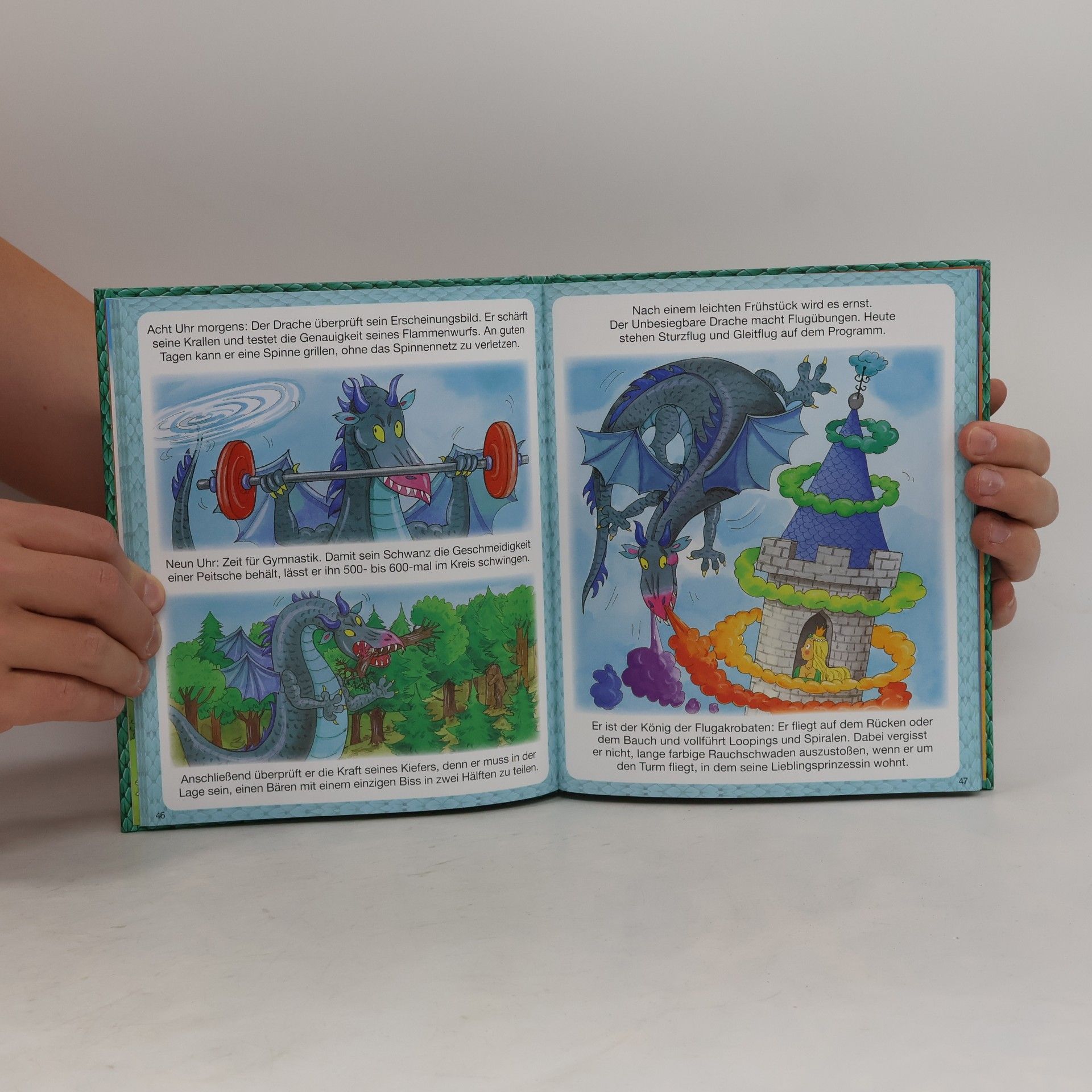 Christine Sagnier Dein buntes Wörterbuch Drachen