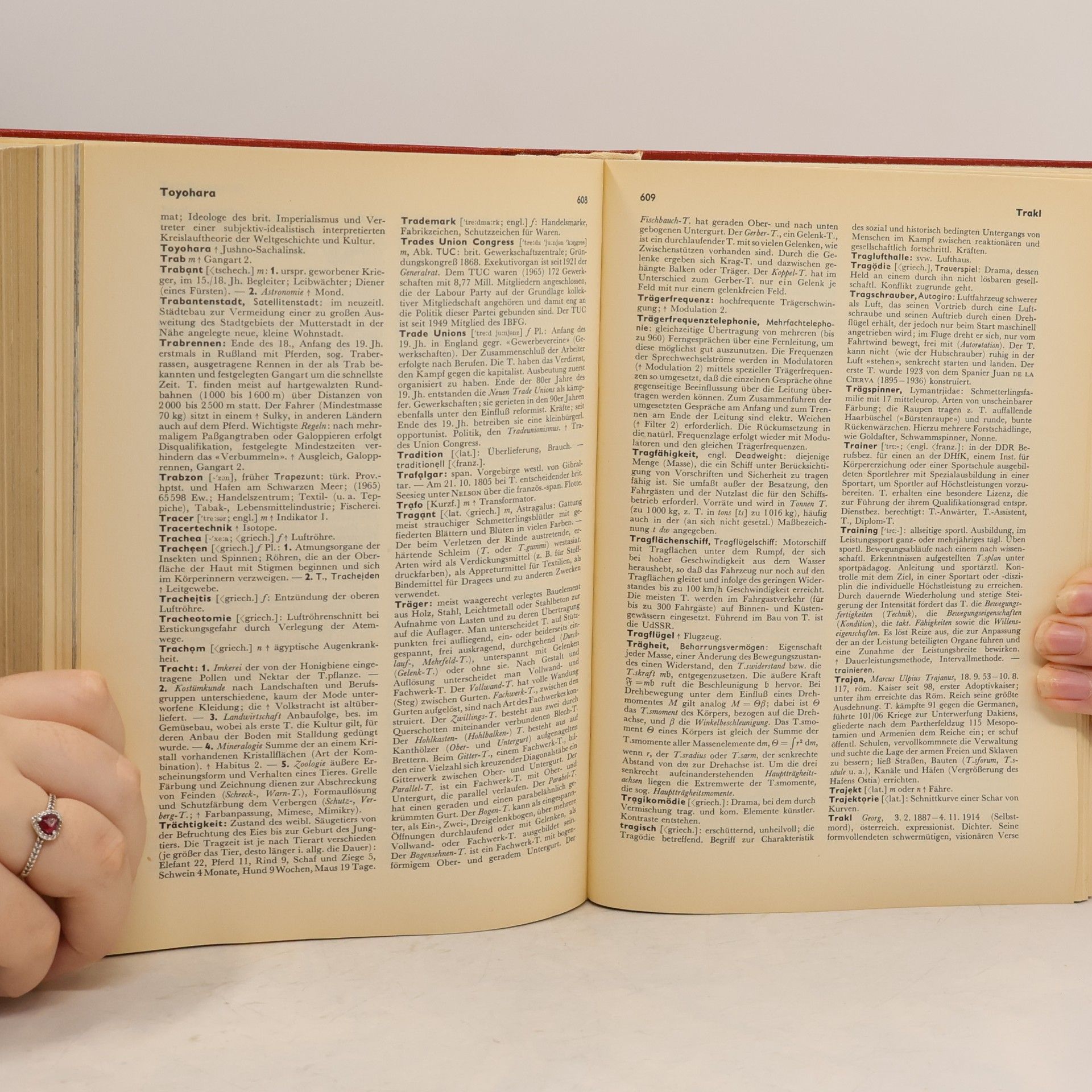 Autorenkollektiv Meyers Kleines Lexikon 3. Pallen-Z