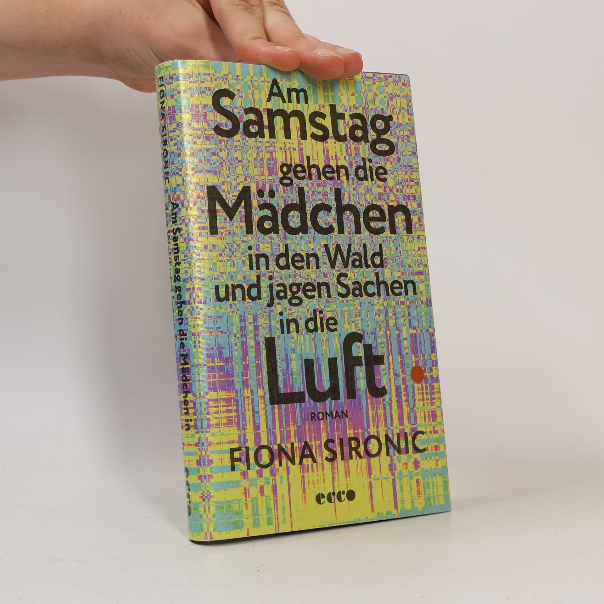Fiona Sironic Am Samstag gehen die Mädchen in den Wald und jagen Sachen in die Luft