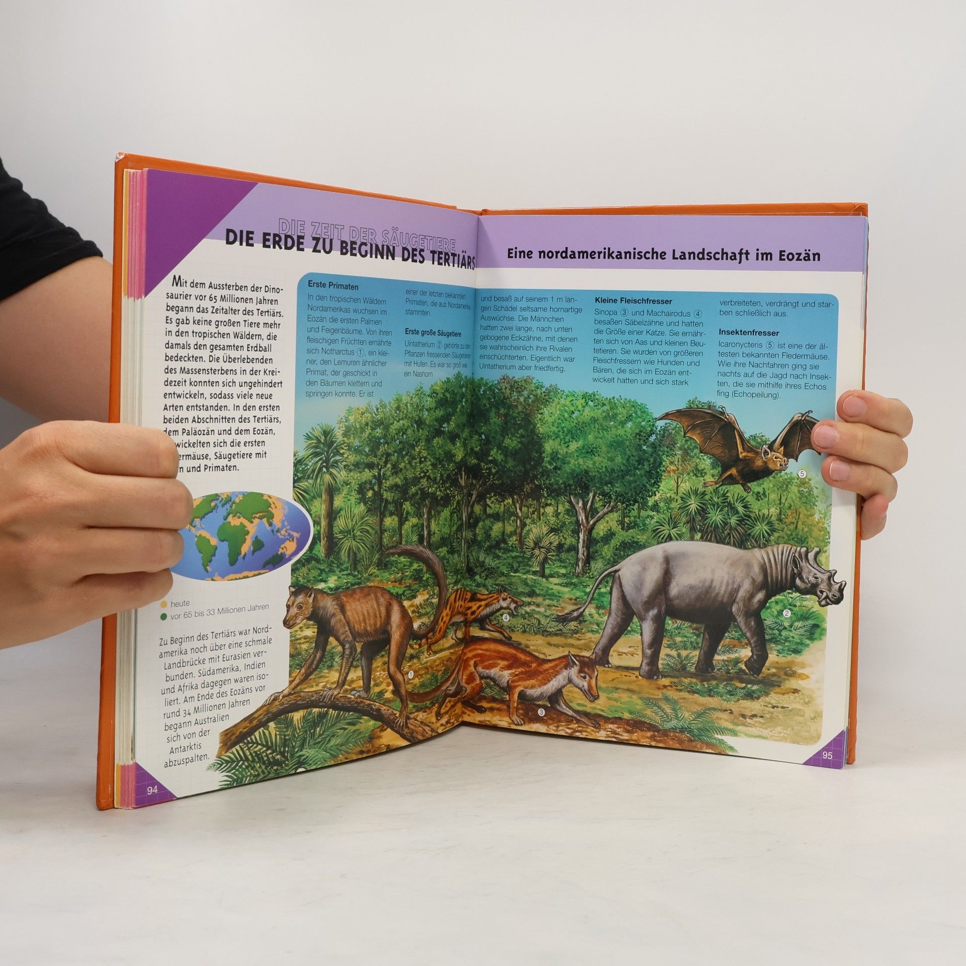 Autorenkollektiv Bilderlexikon. Dinosaurier und Vorgeschichte