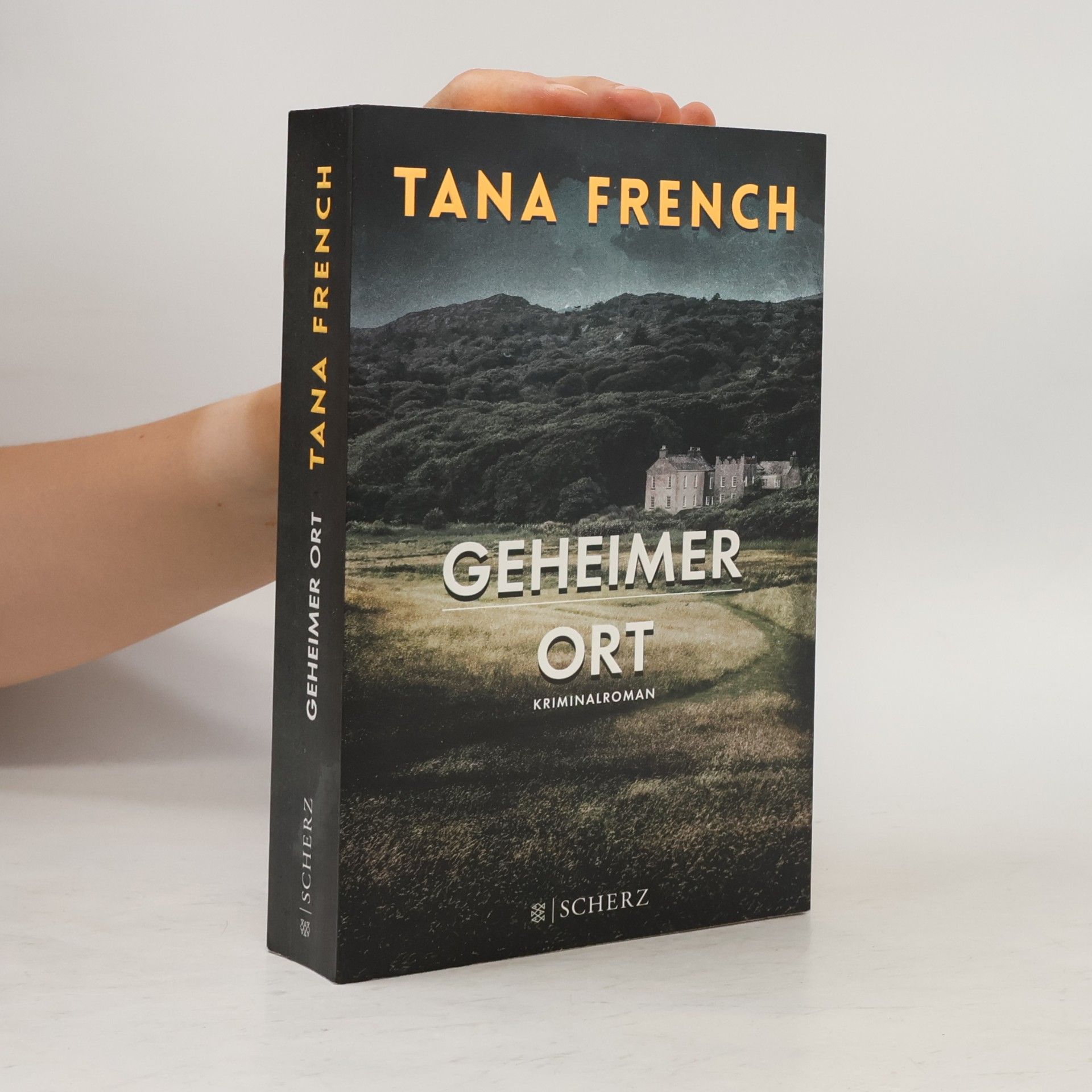 Tana French Geheimer Ort