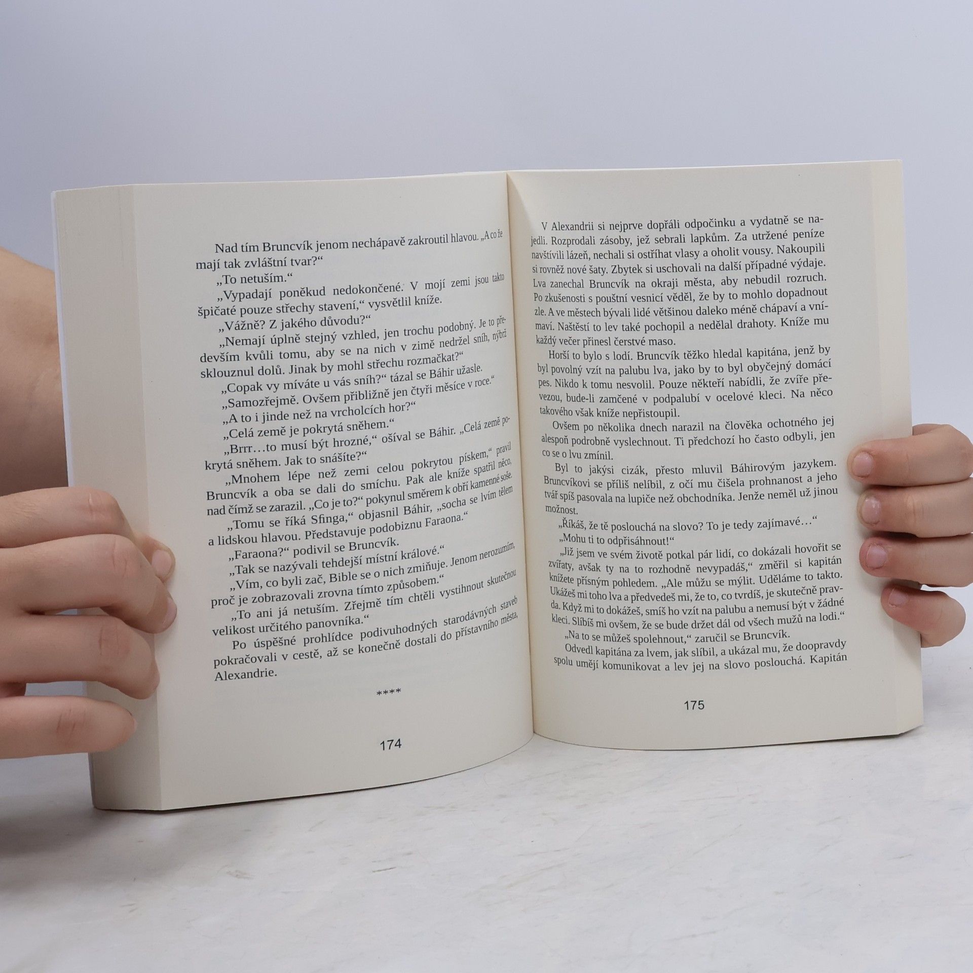 Jan Dvořáček O meči a lvu - Dobrodružství statečného Bruncvíka