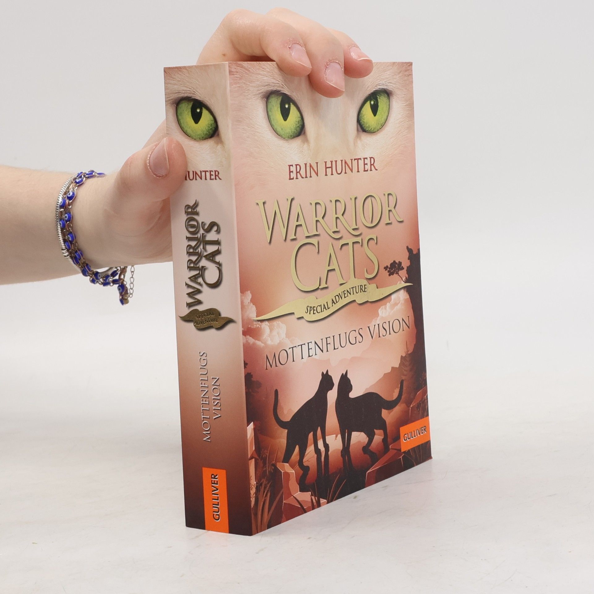 Erin Hunter Warrior Cats - Special Adventure. Mottenflugs Vision