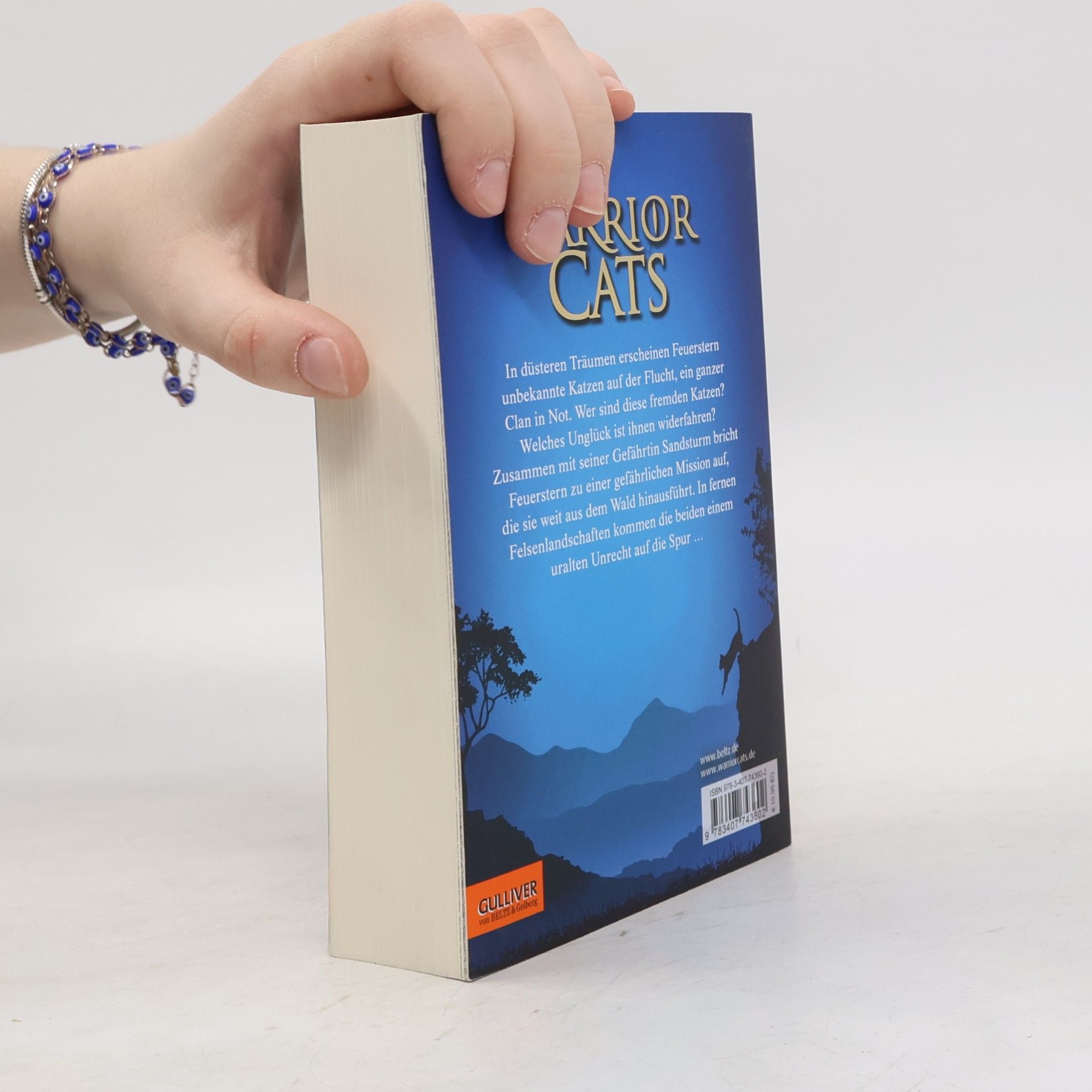 Erin Hunter Warrior Cats. Special Adventure. Feuersterns Mission