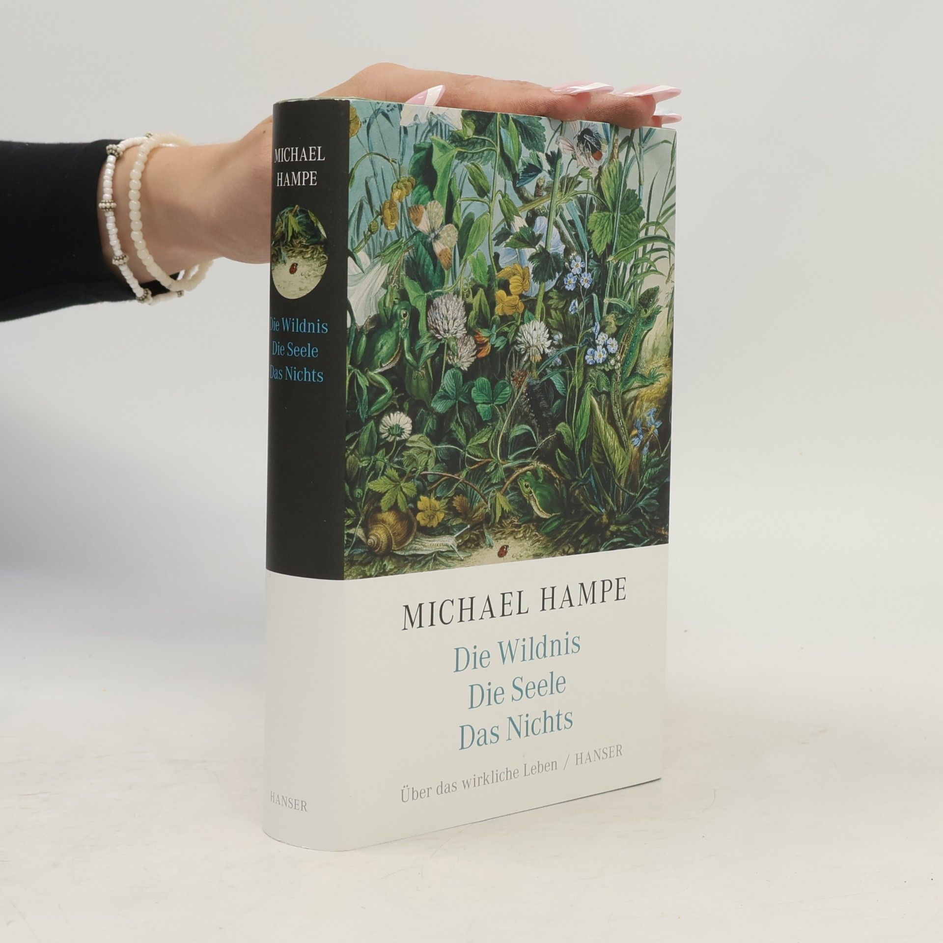 Michael Hampe Der Wildnis. Die Seele. Das Nichts