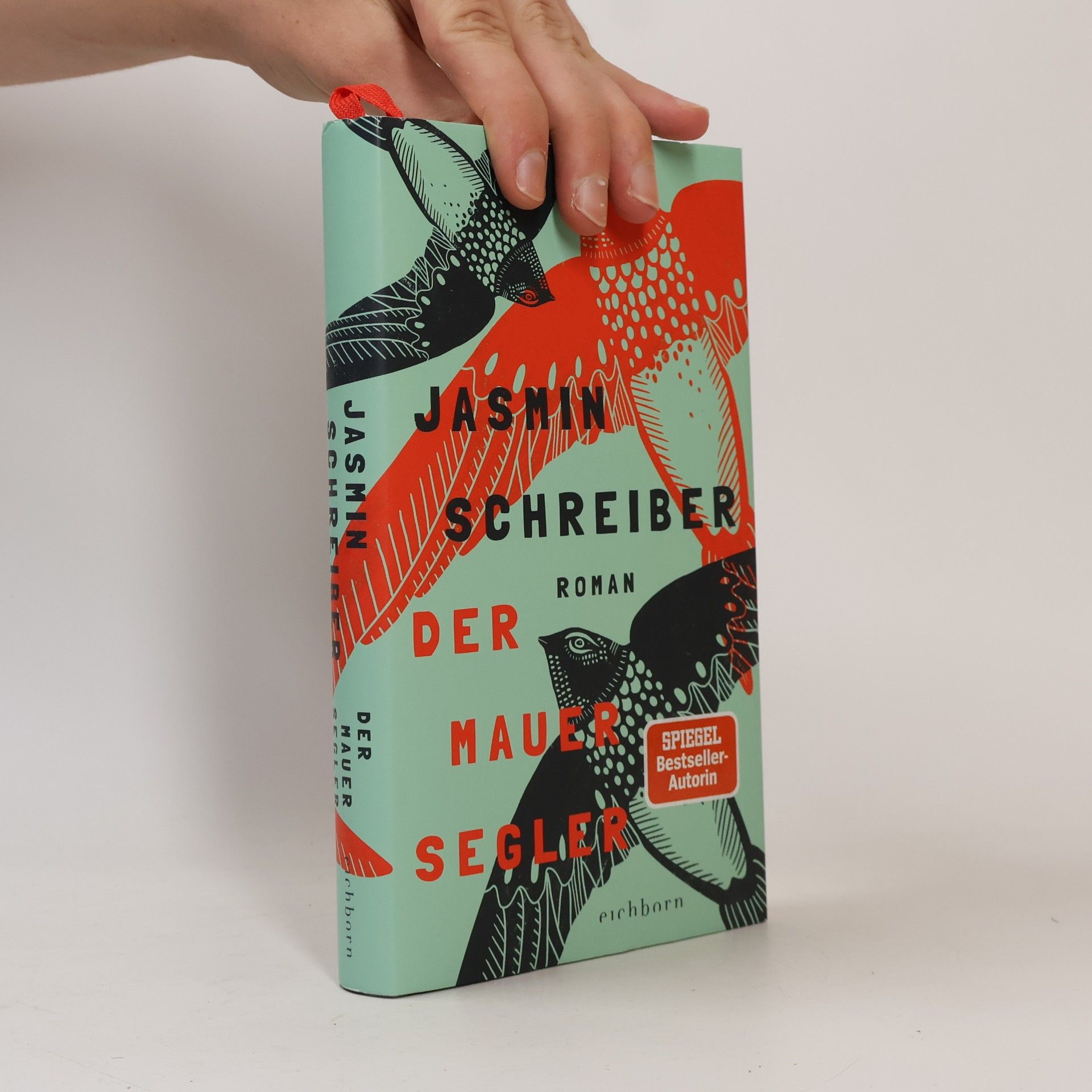 Jasmin Schreiber Der Mauersegler