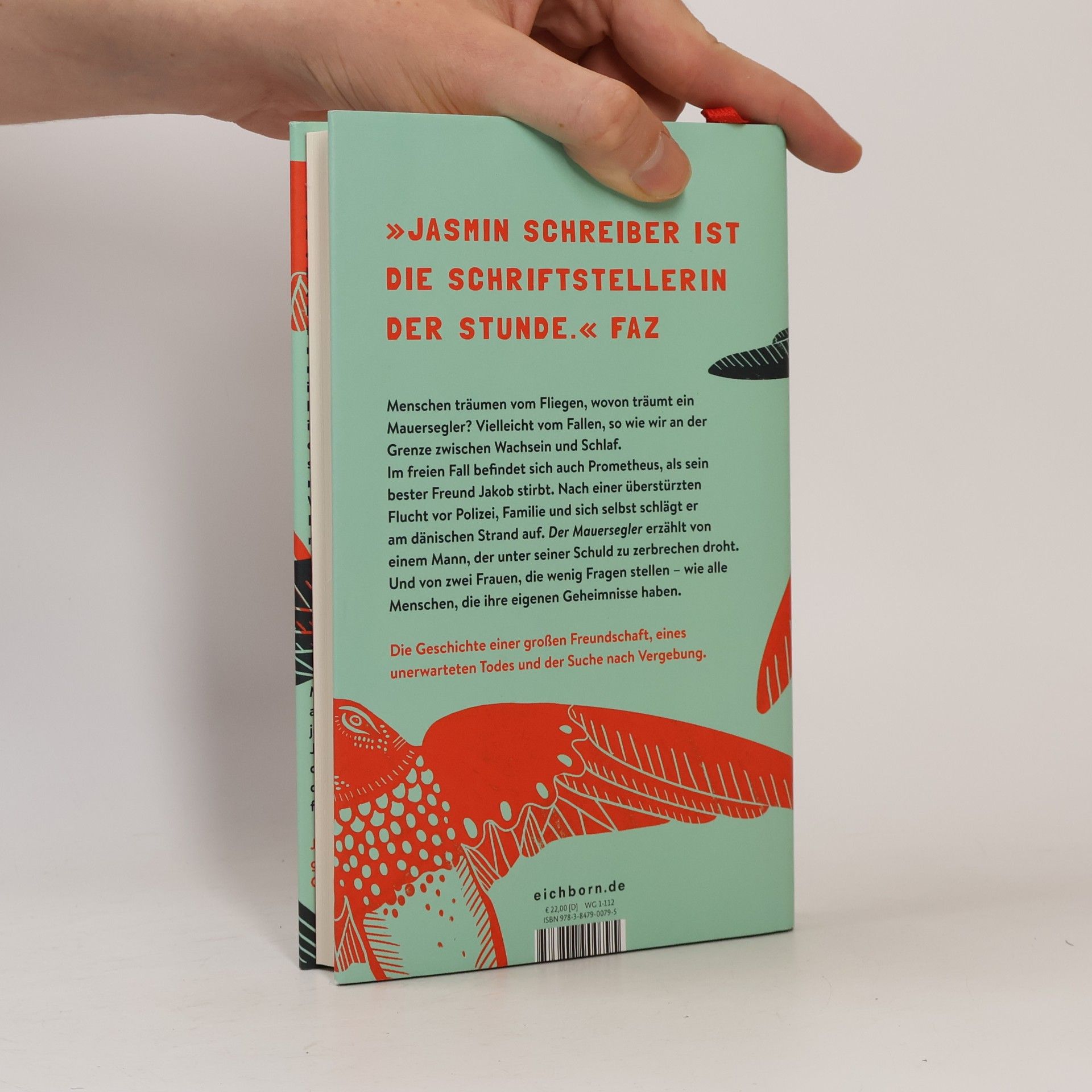 Jasmin Schreiber Der Mauersegler