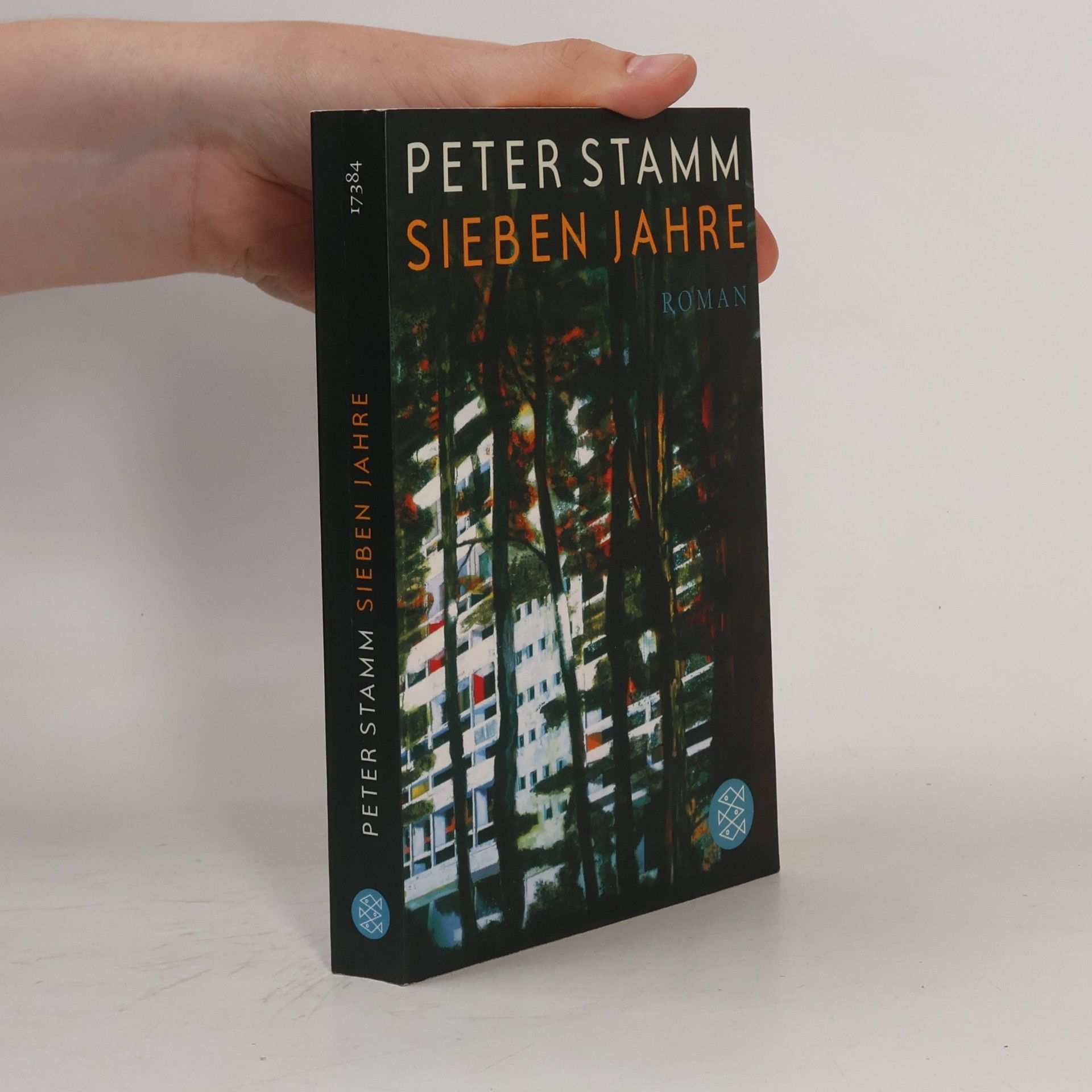 Peter Stamm Sieben Jahre