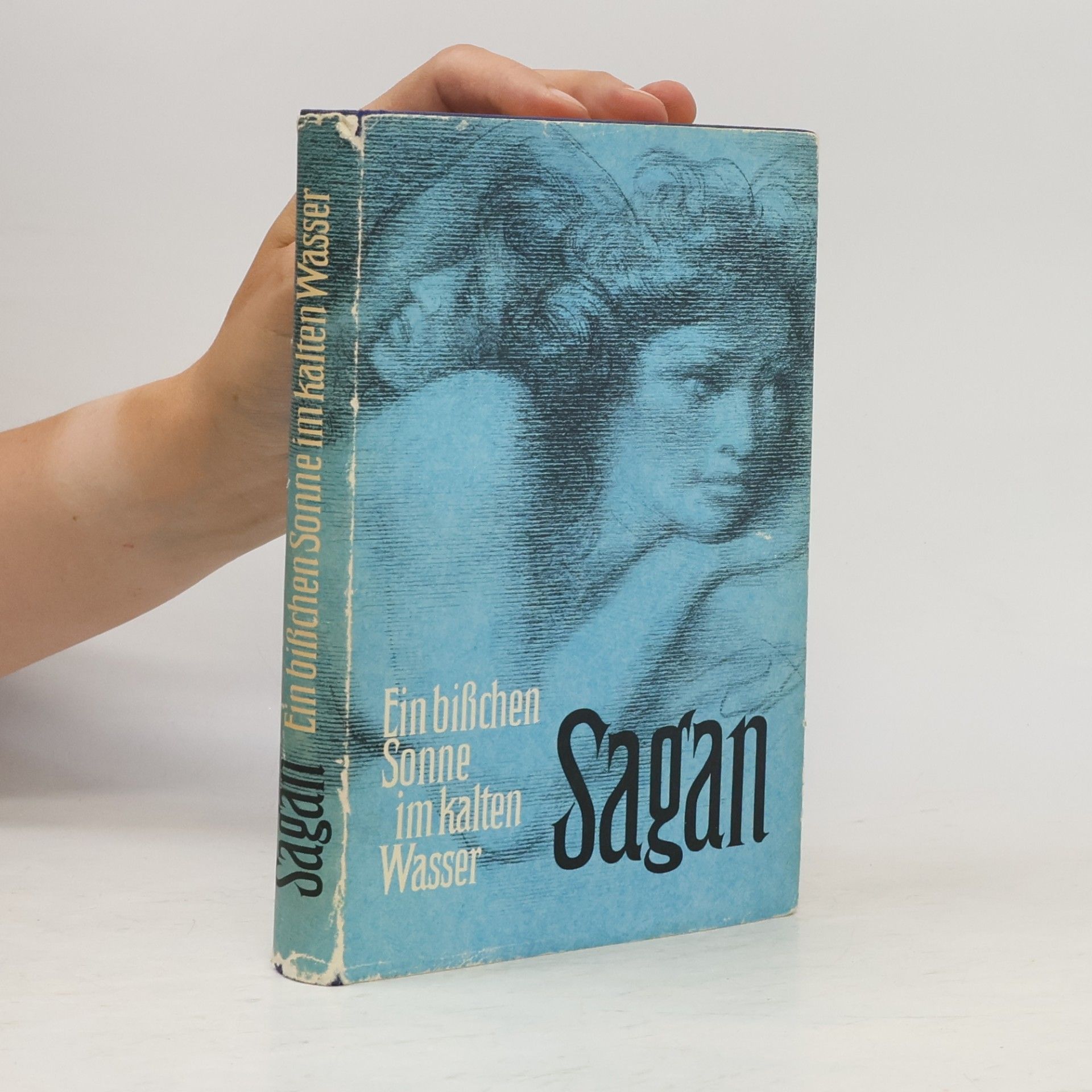 Françoise Sagan Ein bisschen Sonne im kalten Wasser