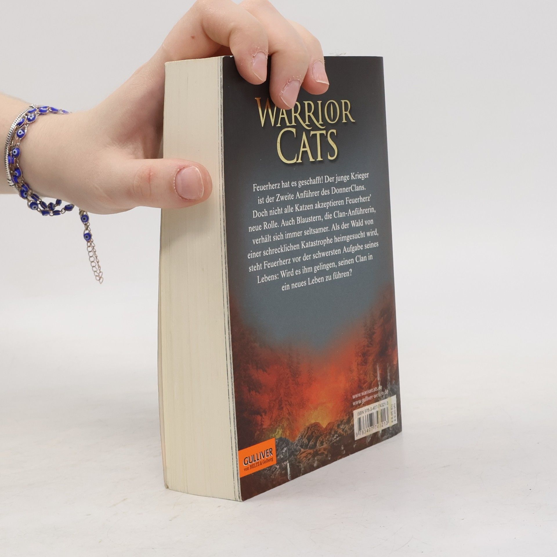 Erin Hunter Warrior Cats. Vor dem Sturm