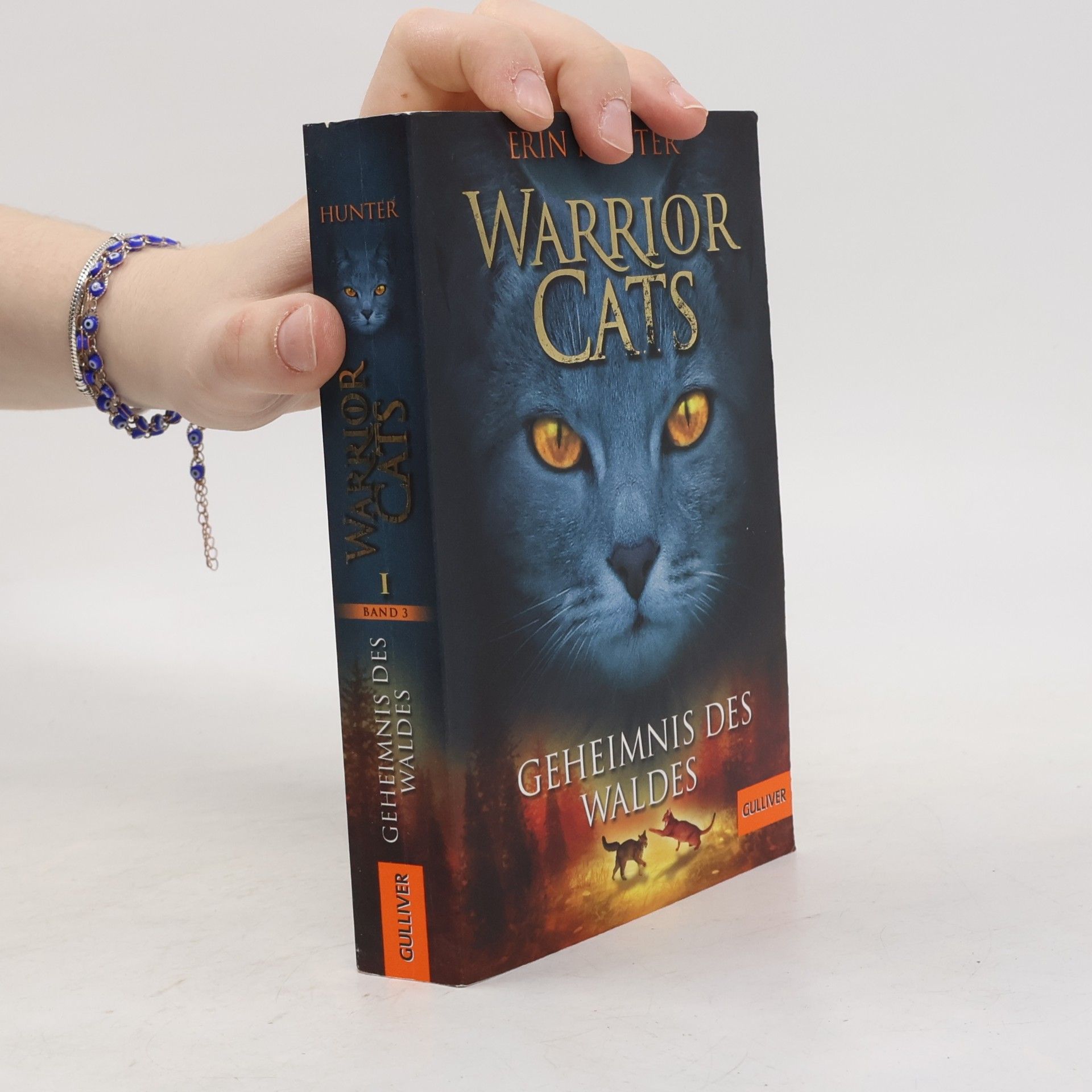 Erin Hunter Warrior Cats. Geheimnis des Waldes