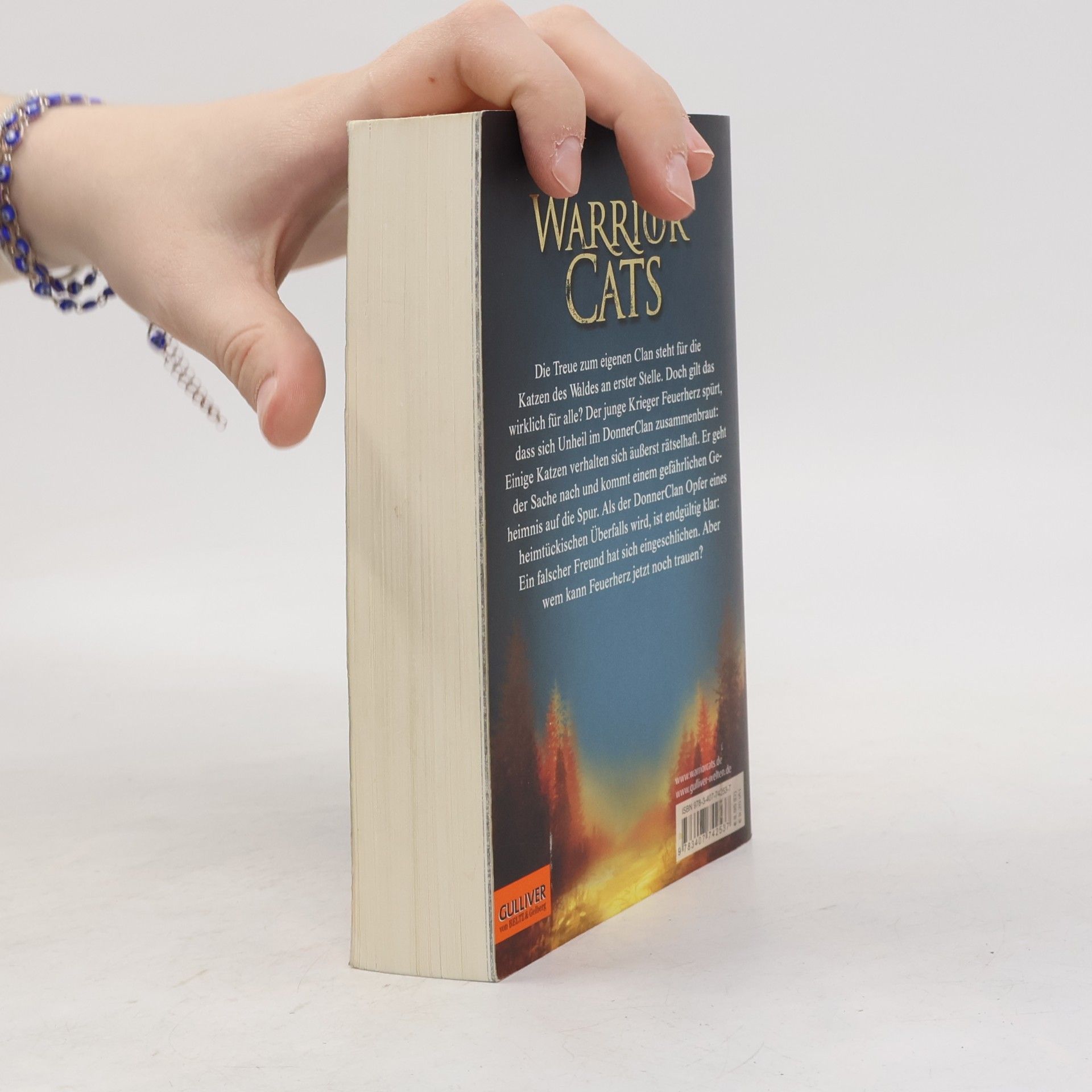 Erin Hunter Warrior Cats. Geheimnis des Waldes