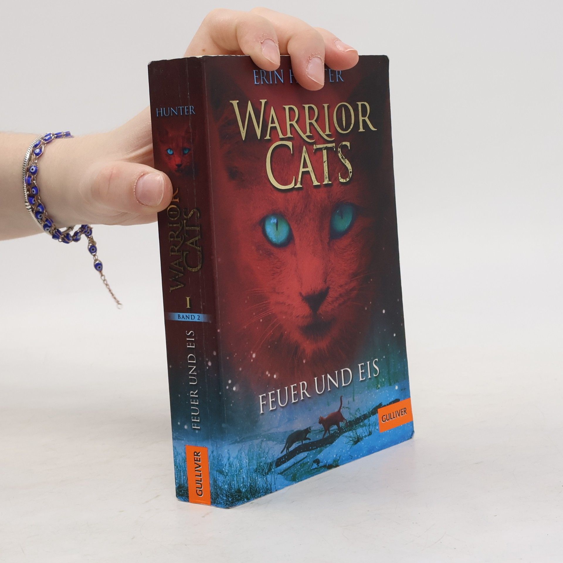 Erin Hunter Warrior Cats. Feuer und Eis