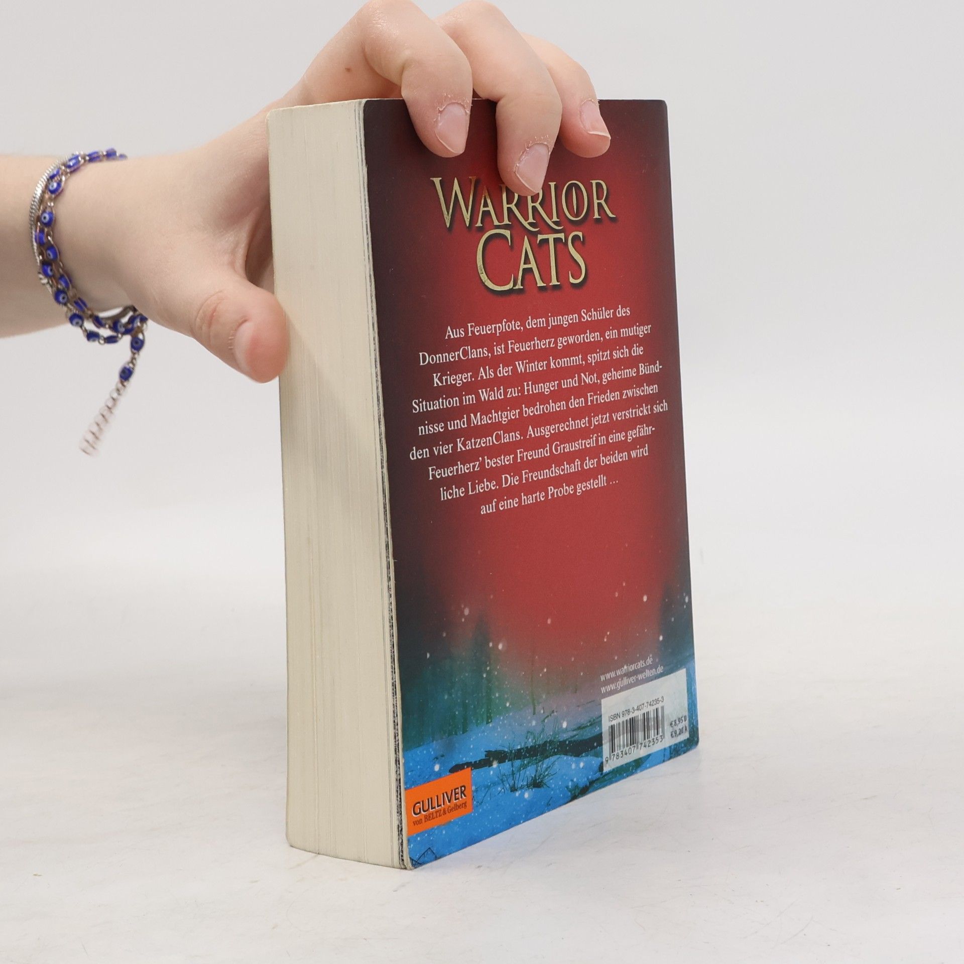 Erin Hunter Warrior Cats. Feuer und Eis