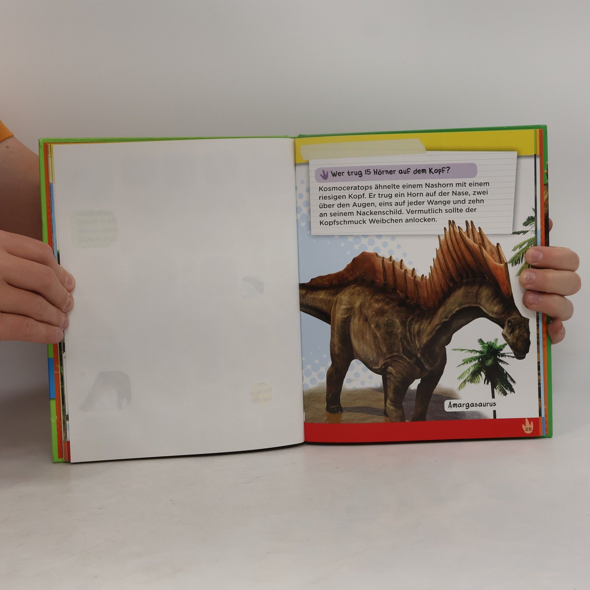 Autorenkollektiv Warum hatten Dinosaurier Schuppen?